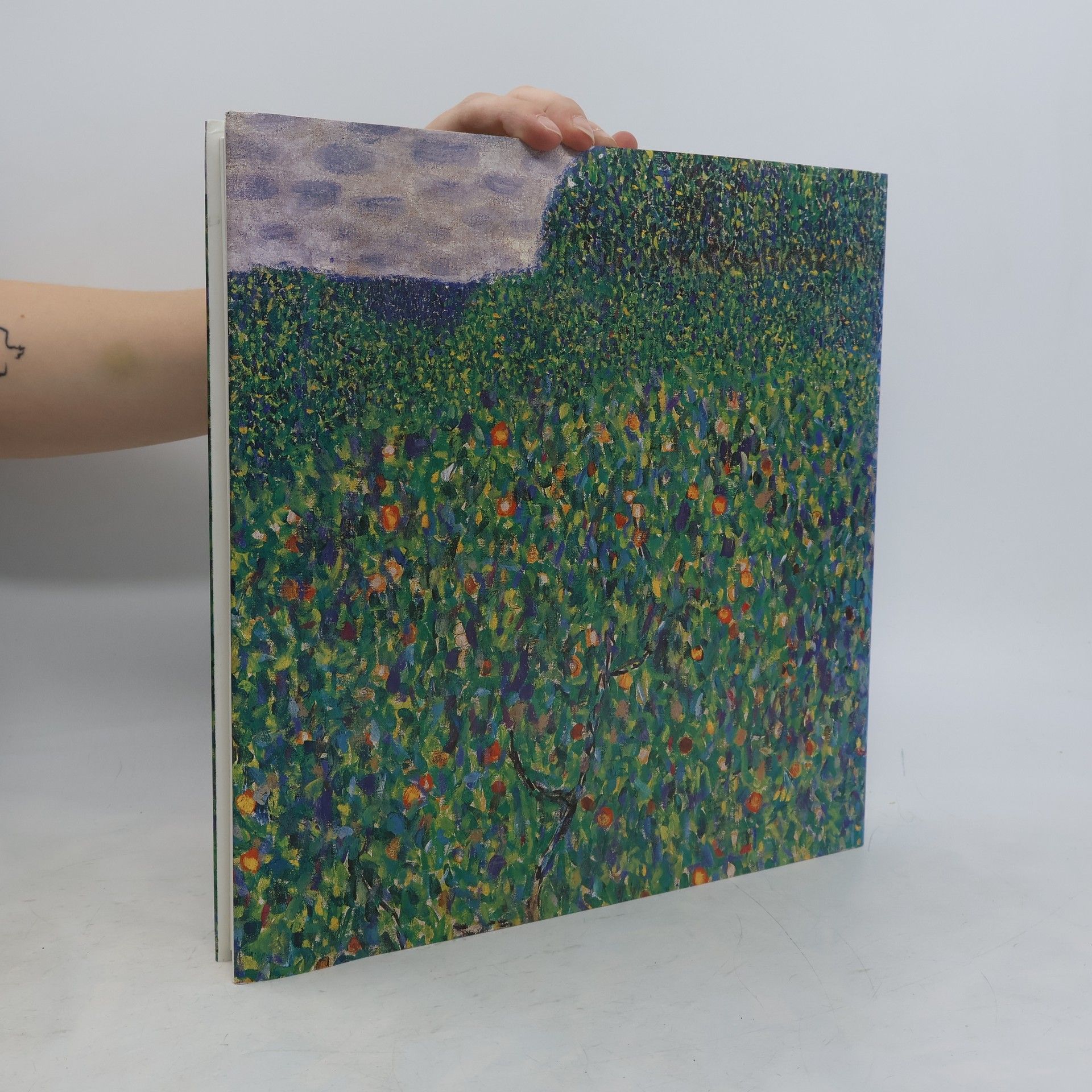 Gustav Klimt Gustav Klimt: Frauen
