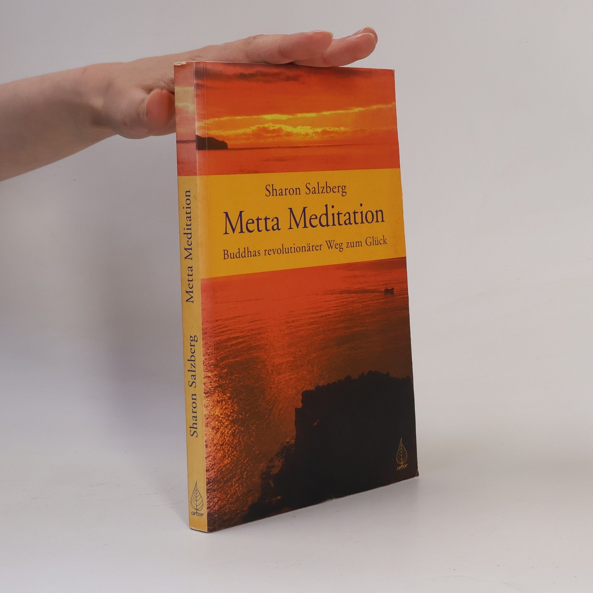 Sharon Salzberg Metta Meditation - Buddhas revolutionärer Weg zum Glück