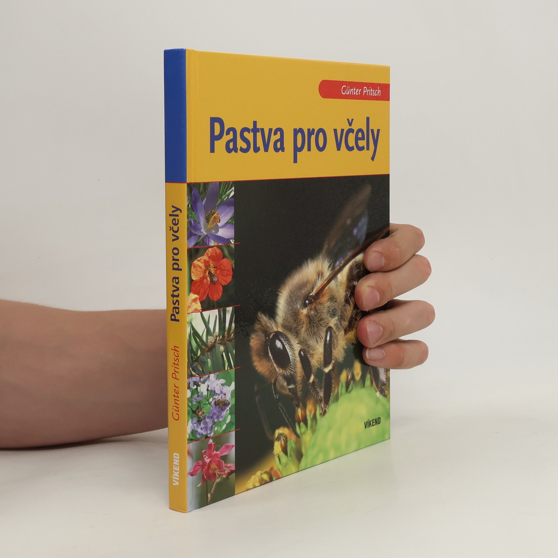 Günter Pritsch Pastva pro včely