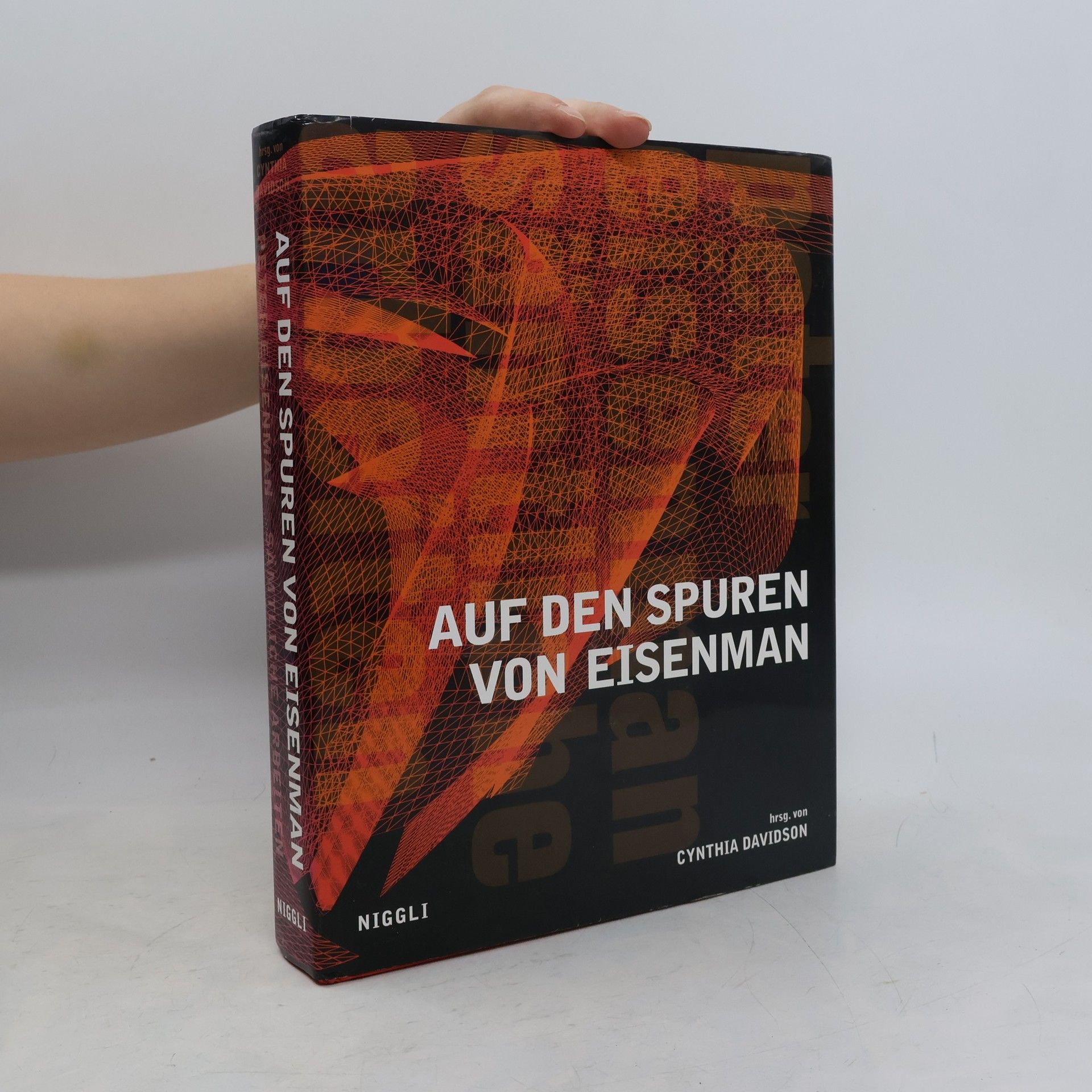 Stan Allen Auf den Spuren von Eisenman
