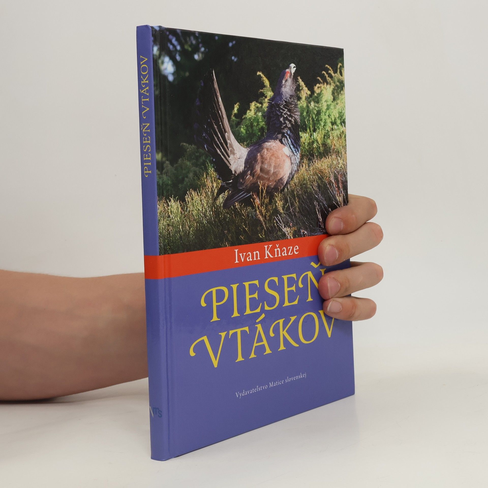 Ivan Kňaze Pieseň vtákov