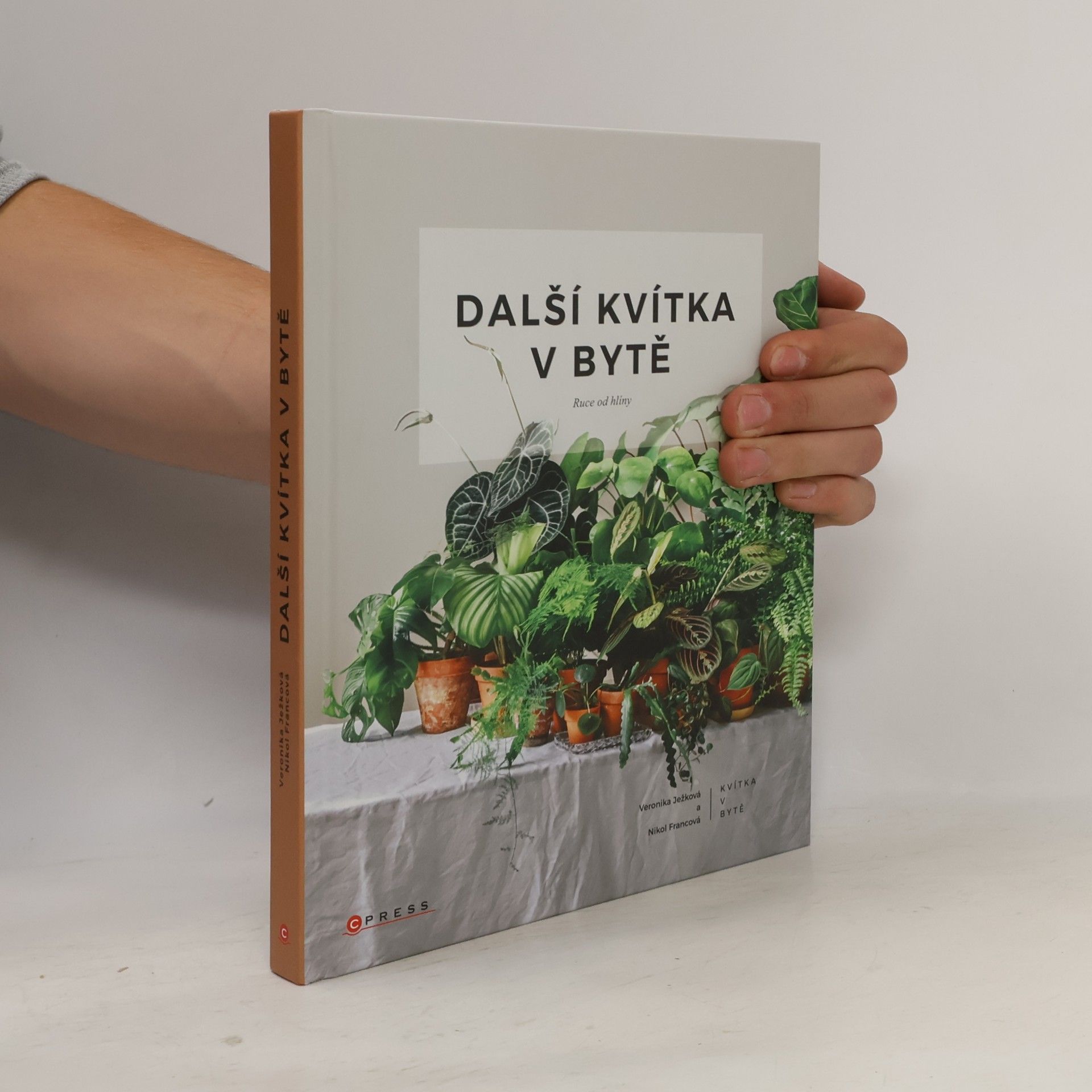 Nikol Francová Další kvítka v bytě : Ruce od hlíny