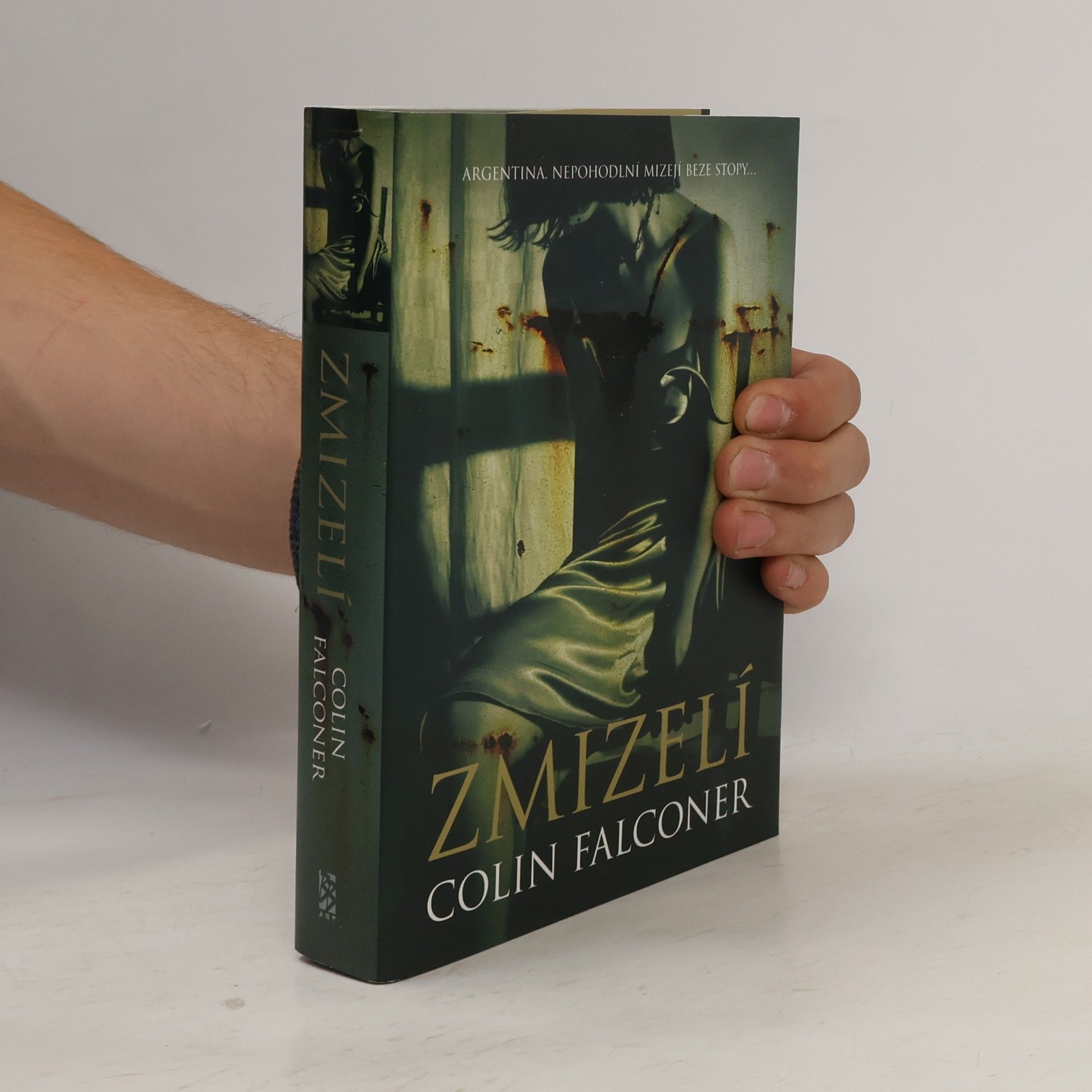 Colin Falconer Zmizelí