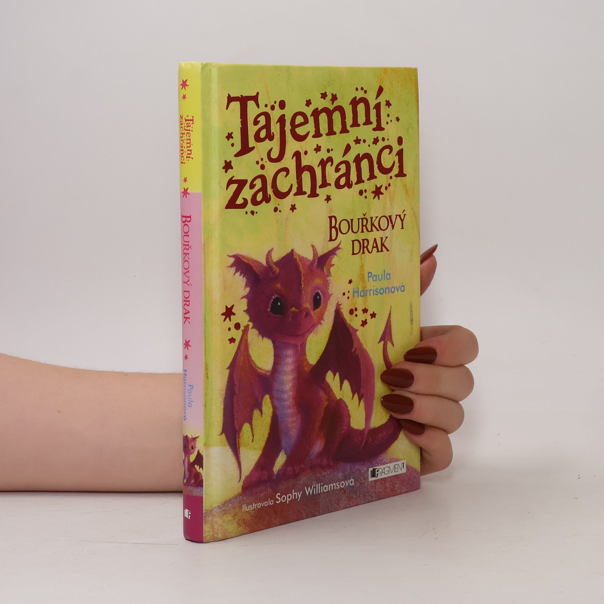 Paula Harrison Tajemní zachránci - Bouřkový drak