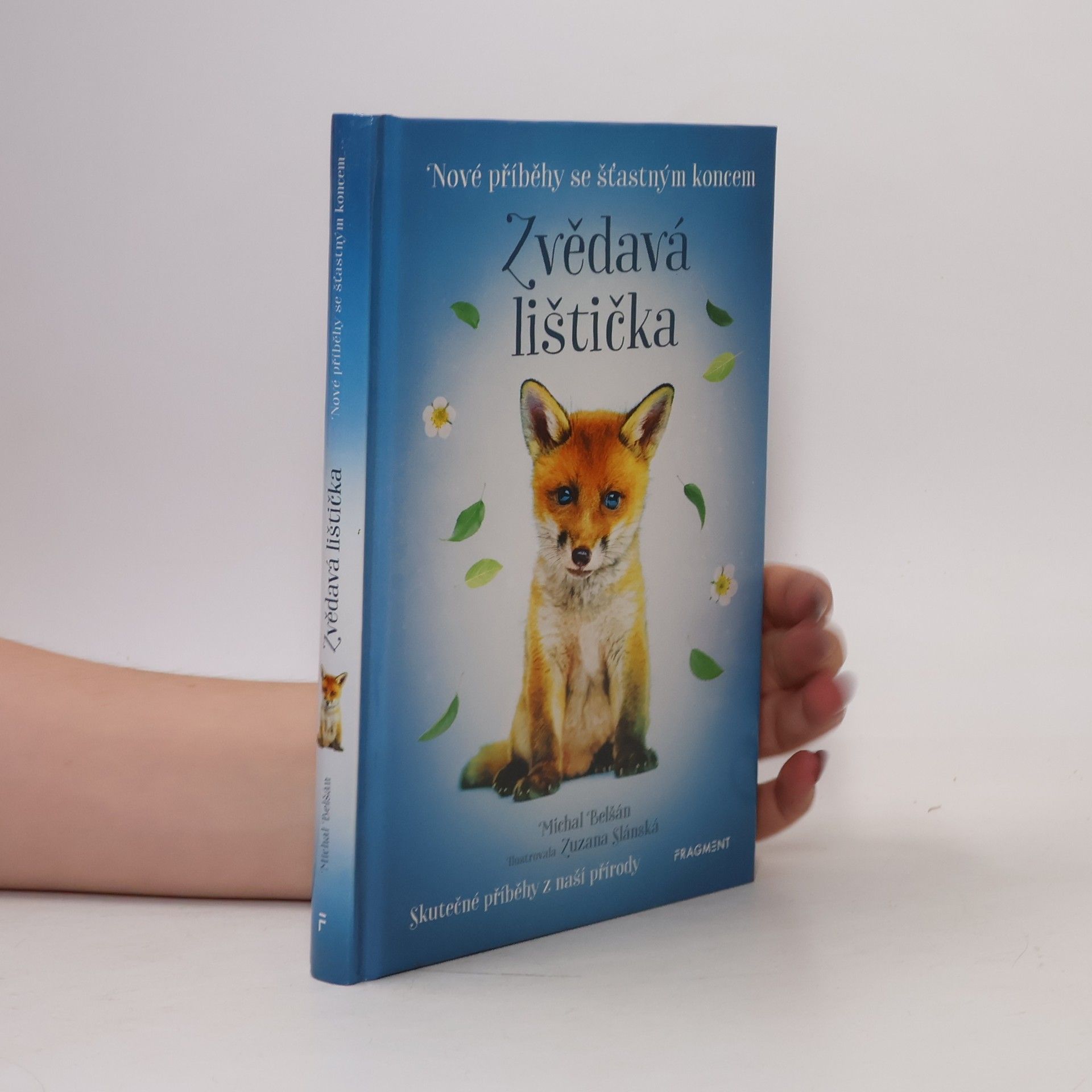 Michal Belšán Zvědavá lištička