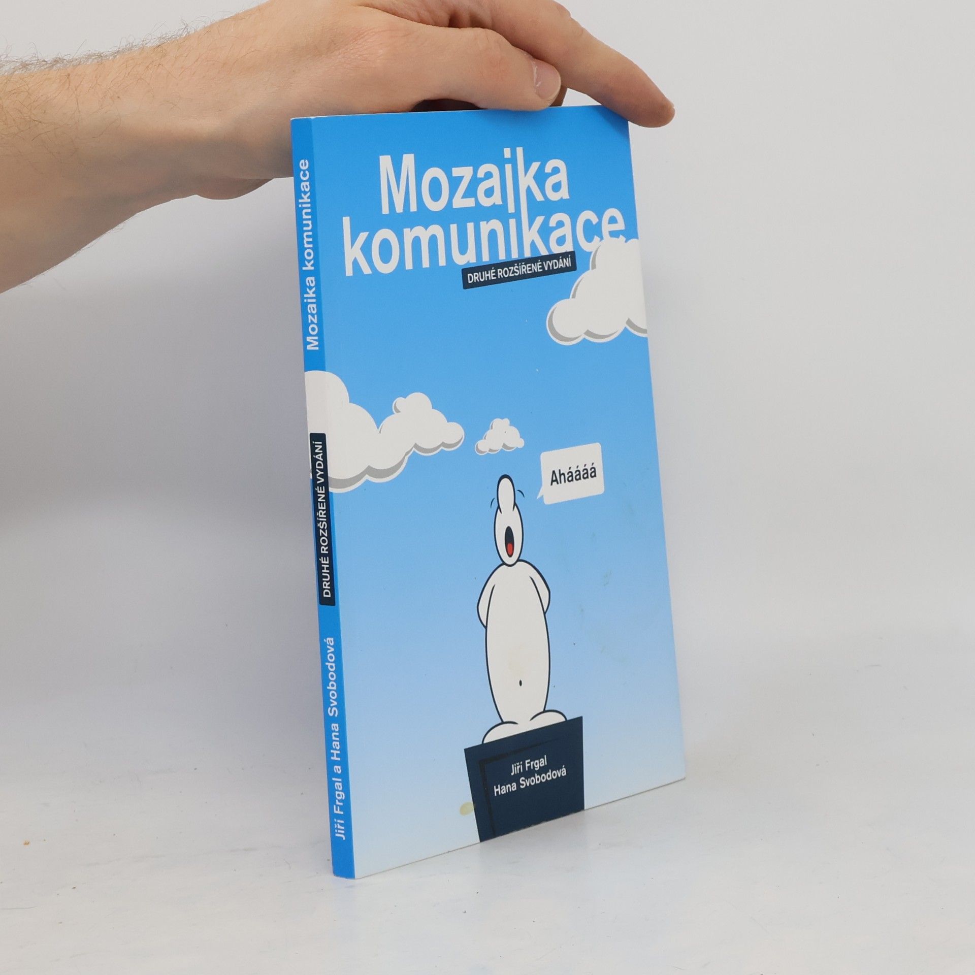 Mozaika komunikace
