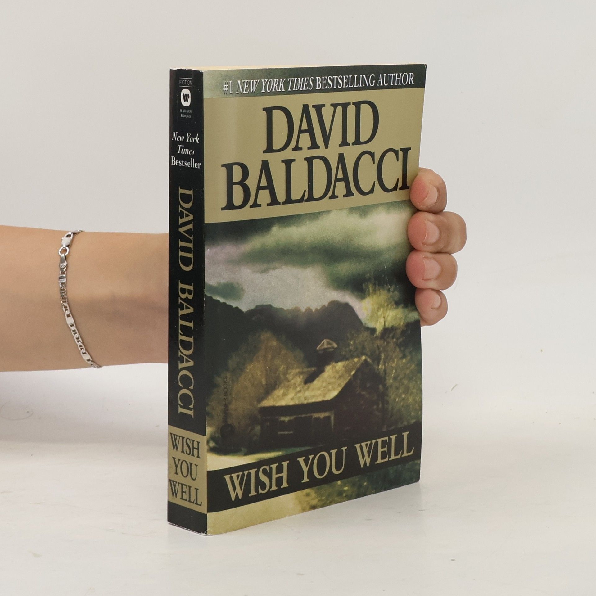 David Baldacci Wish you well