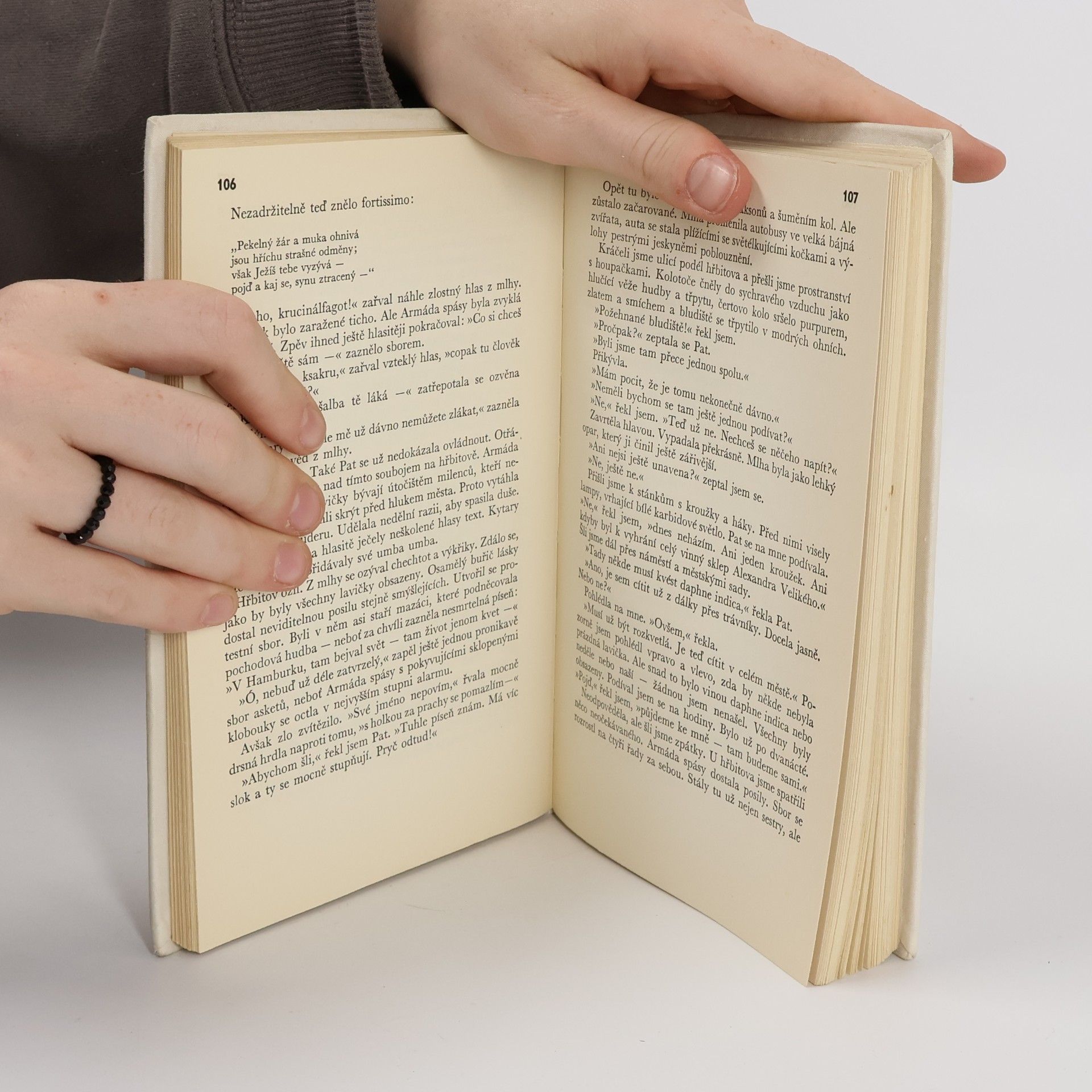 Erich Maria Remarque Tři kamarádi