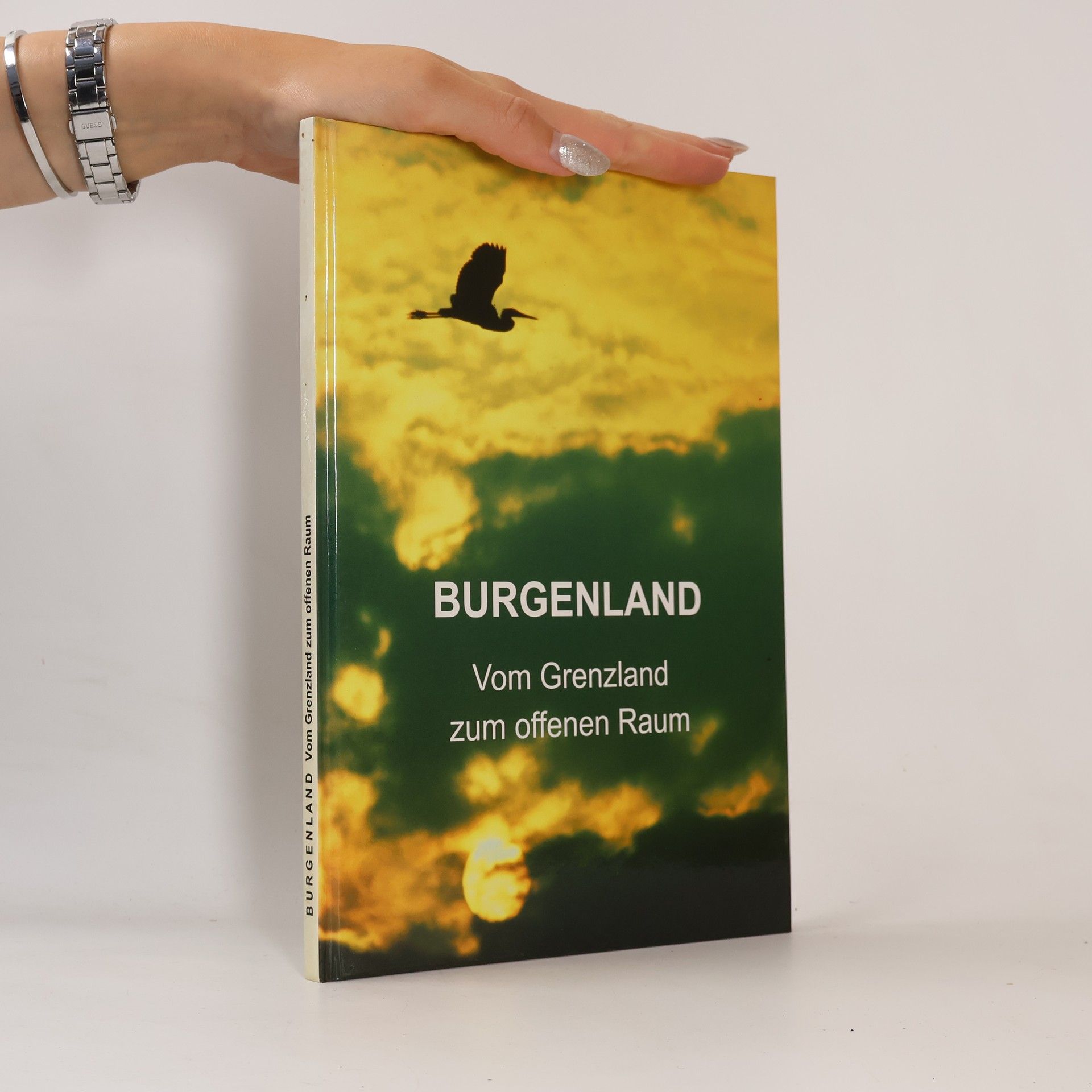 Burgenland. Vom Grenzland zum offenen Raum