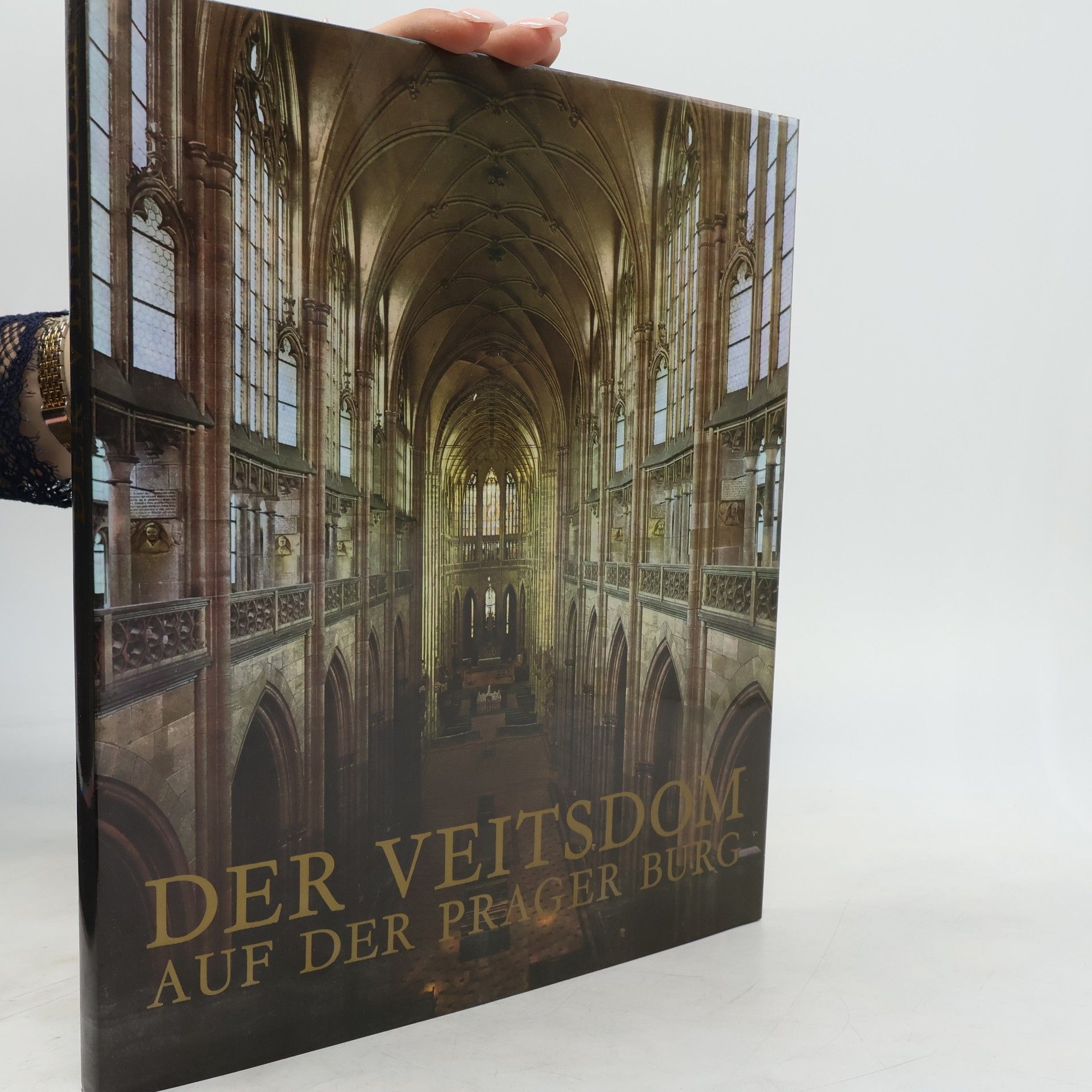 Jiří Burian Der Veitsdom auf der Prager Burg
