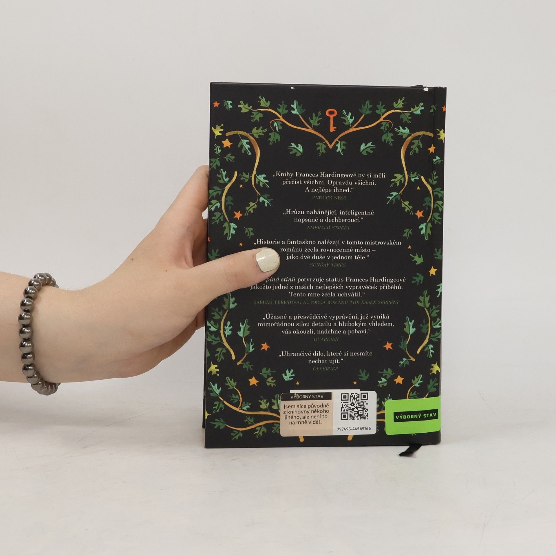 Frances Hardinge Kůže plná stínů