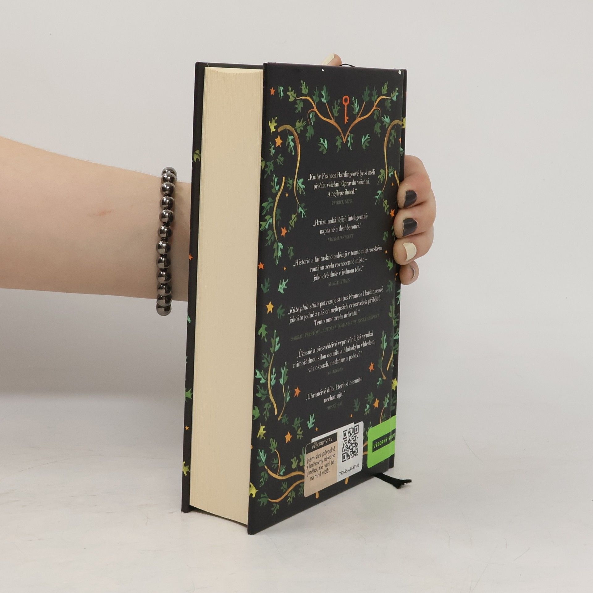 Frances Hardinge Kůže plná stínů