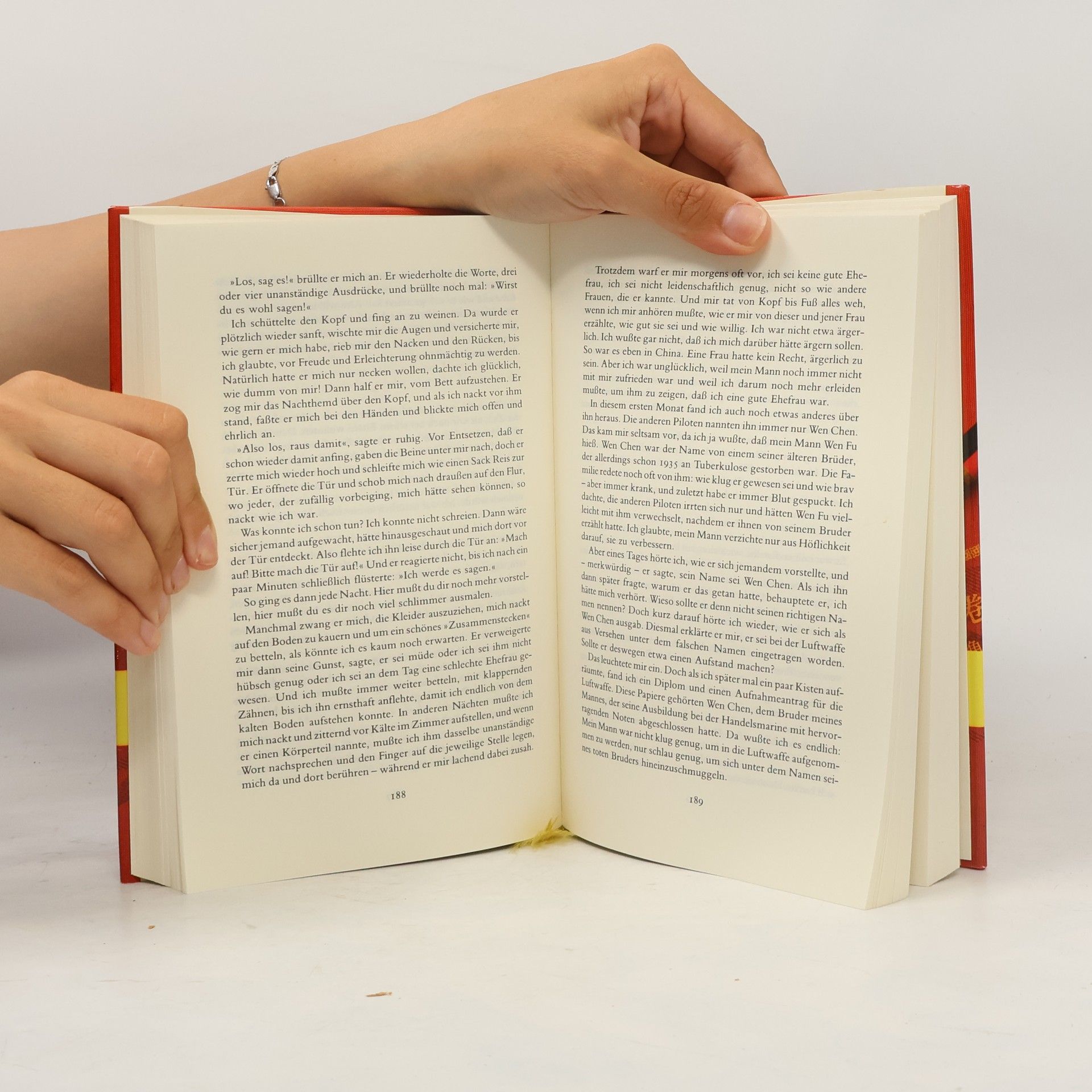 Amy Tan Die Frau des Feuergottes