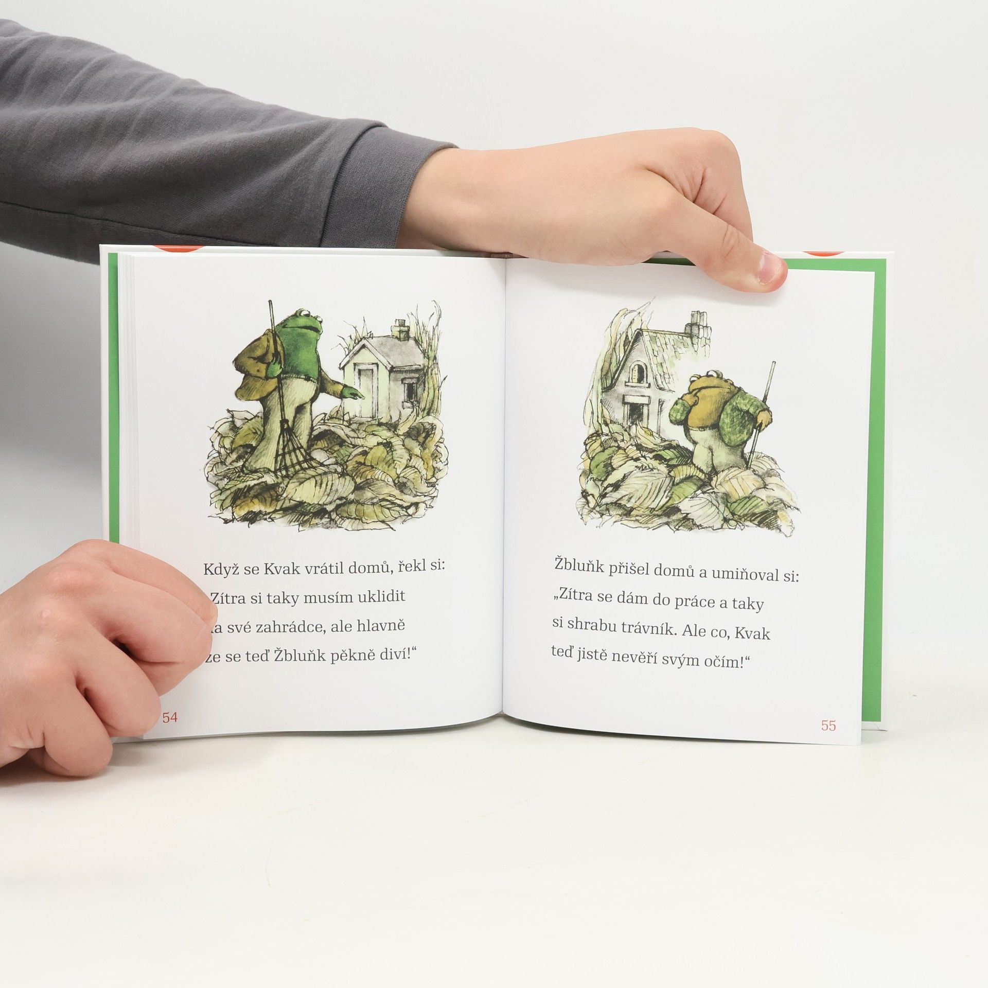 Arnold Lobel Kvak a Žbluňk od jara do Vánoc