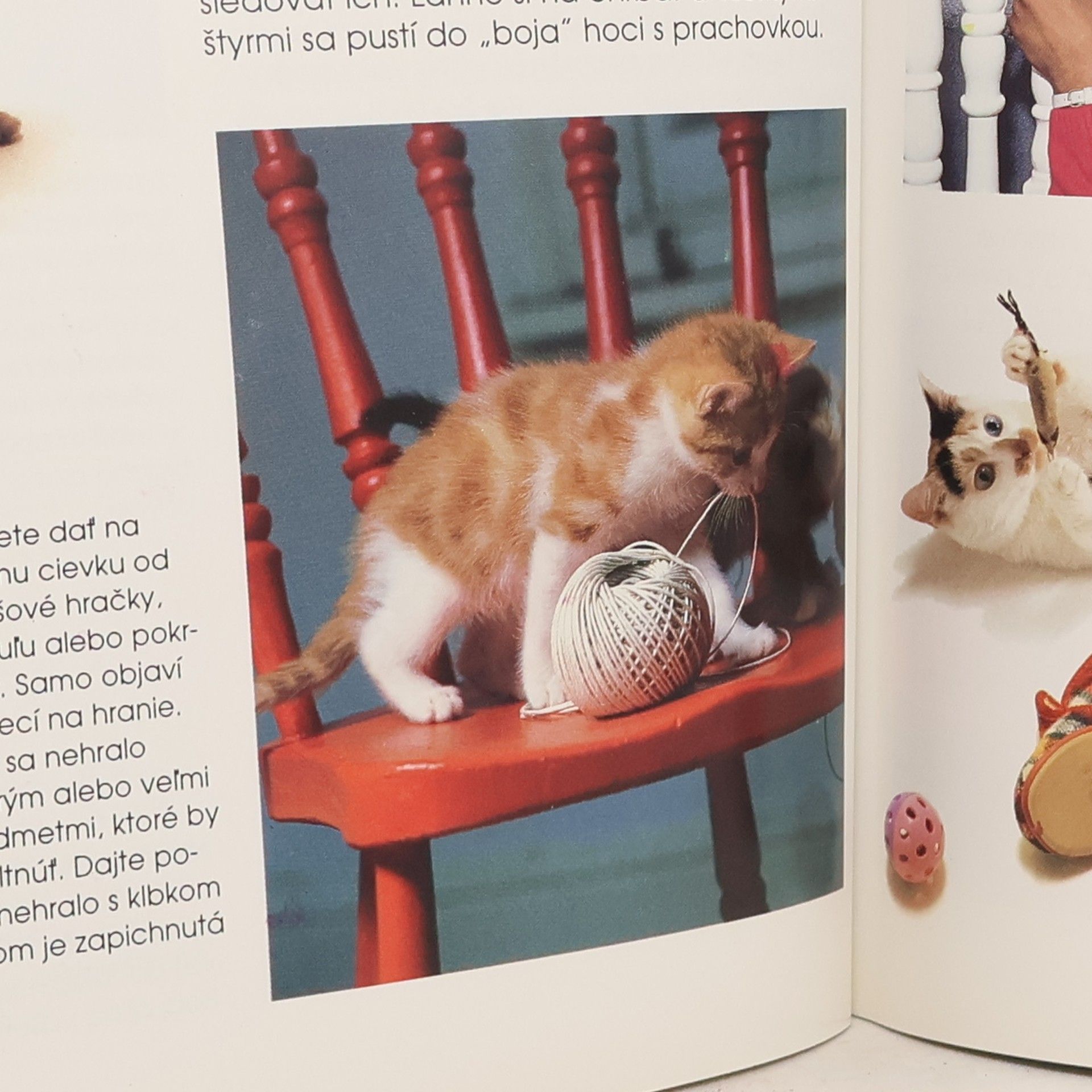 Helen Piers Býva s nami mačka