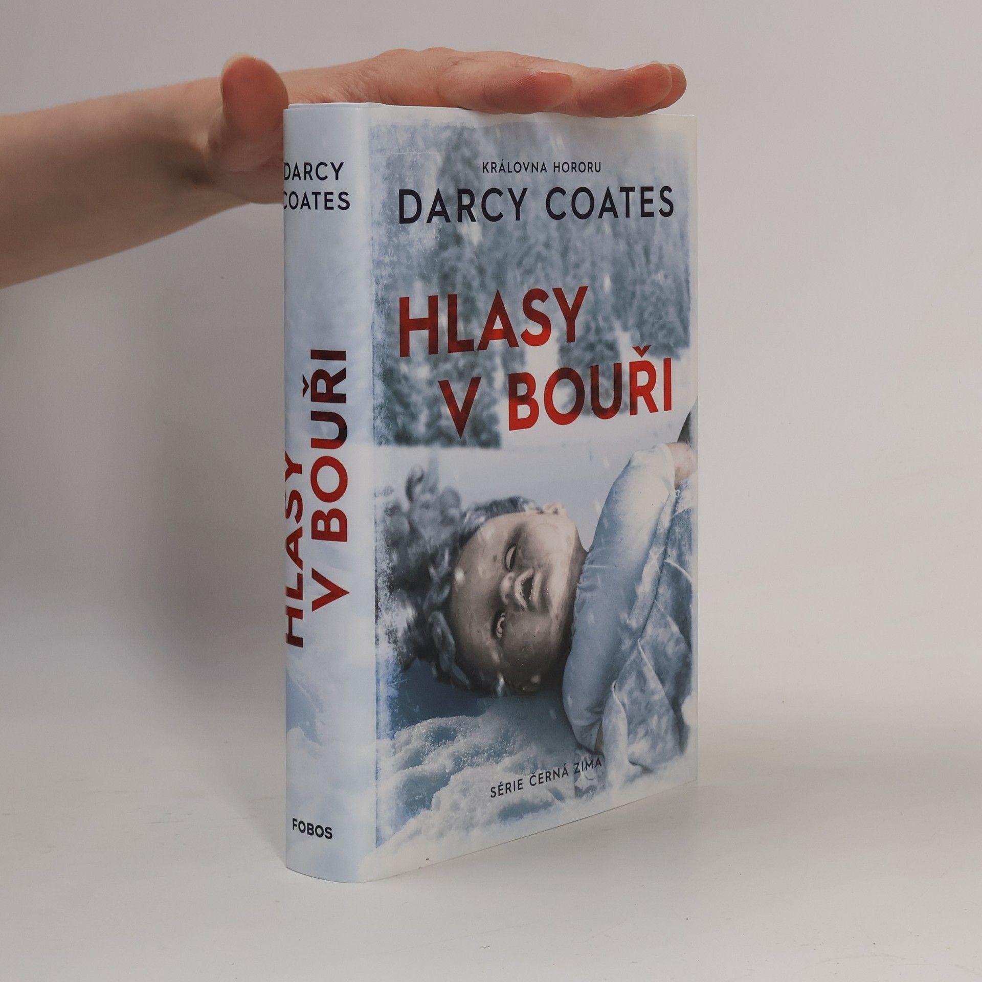 Darcy Coates Hlasy v bouři