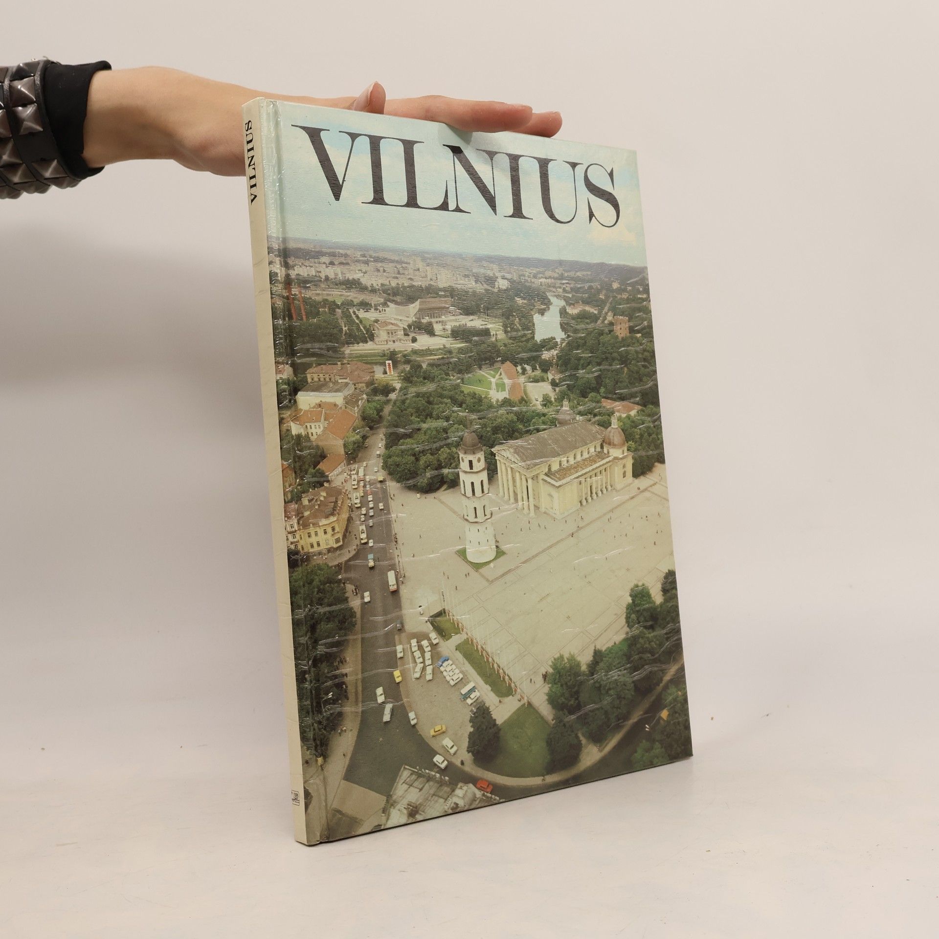 Kolektiv autorů Vilnius
