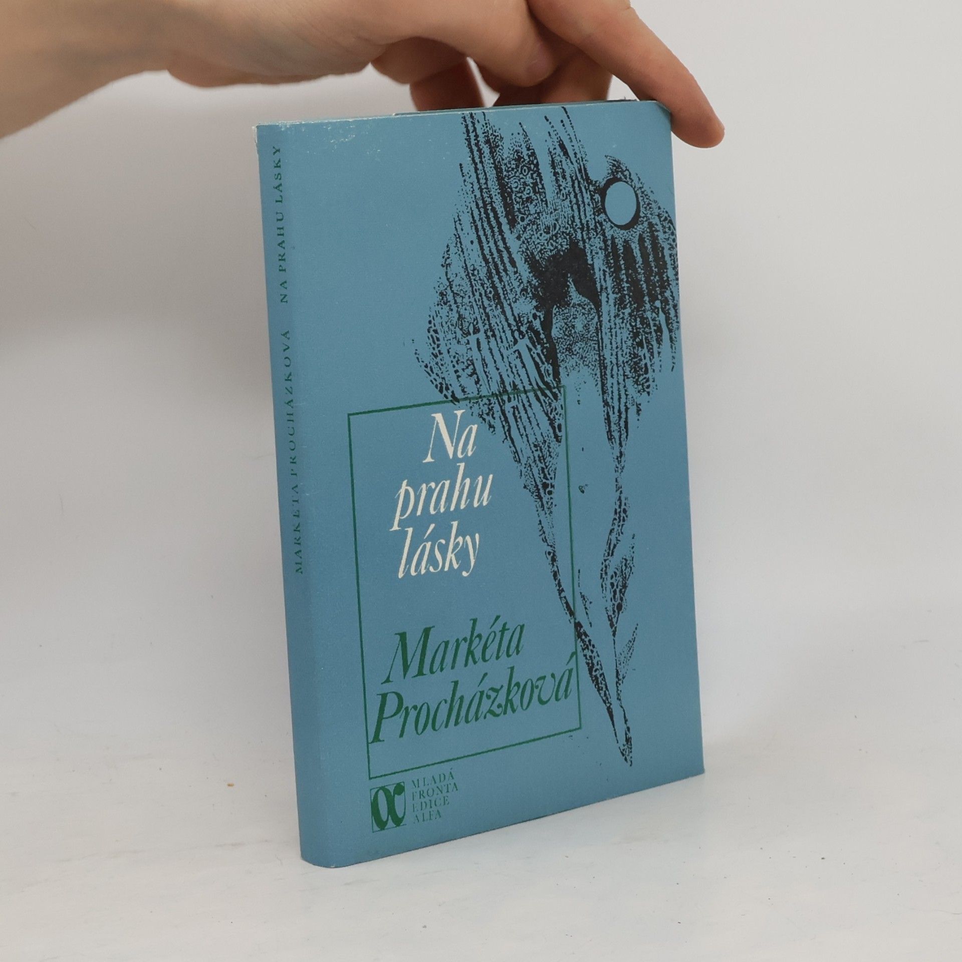Markéta Procházková Na prahu lásky