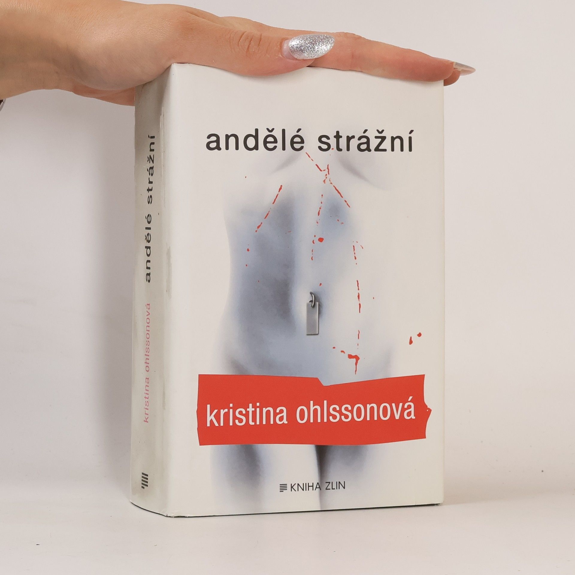 Kristina Ohlssonová Andělé strážní