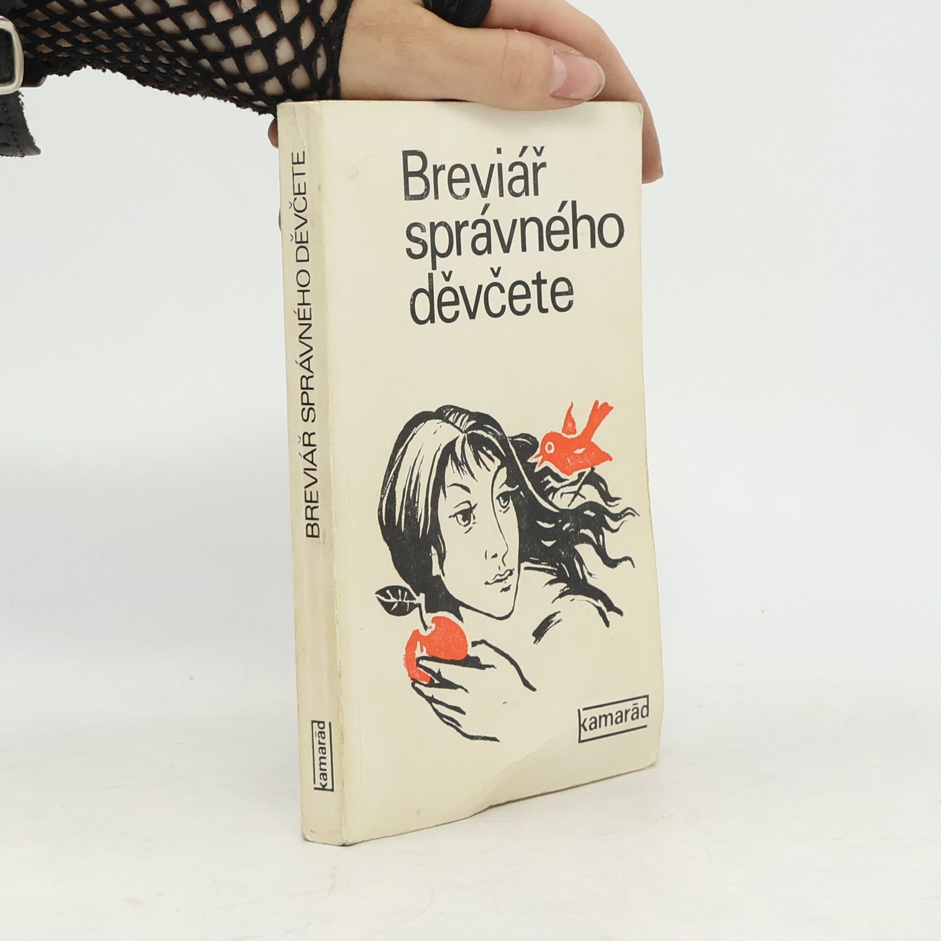 Dita Hajná Breviář správného děvčete