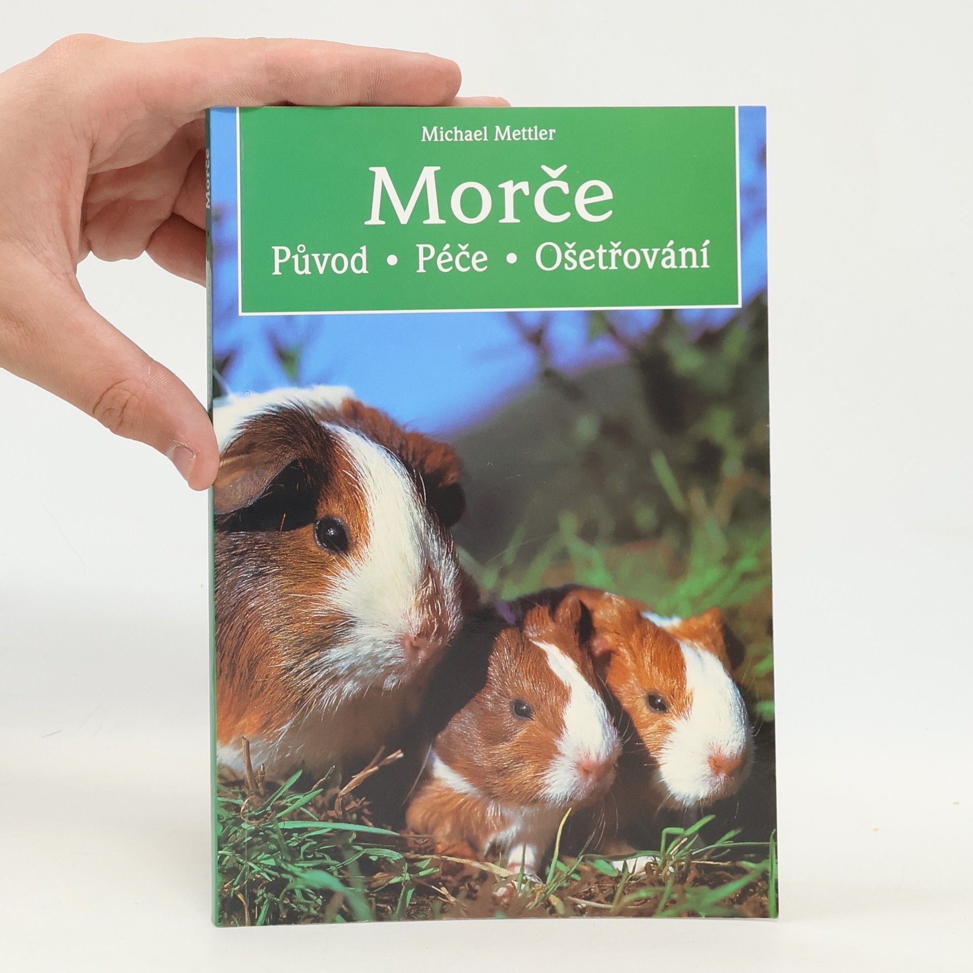 Morče. Původ. Péče. Ošetřování