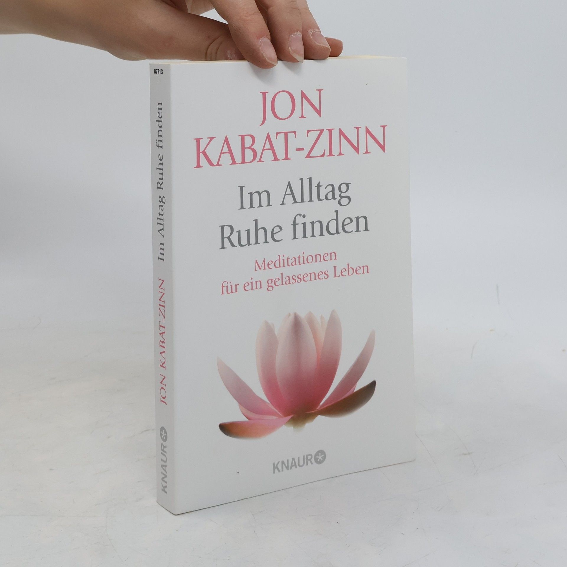 Jon Kabat-Zinn Im Alltag Ruhe finden