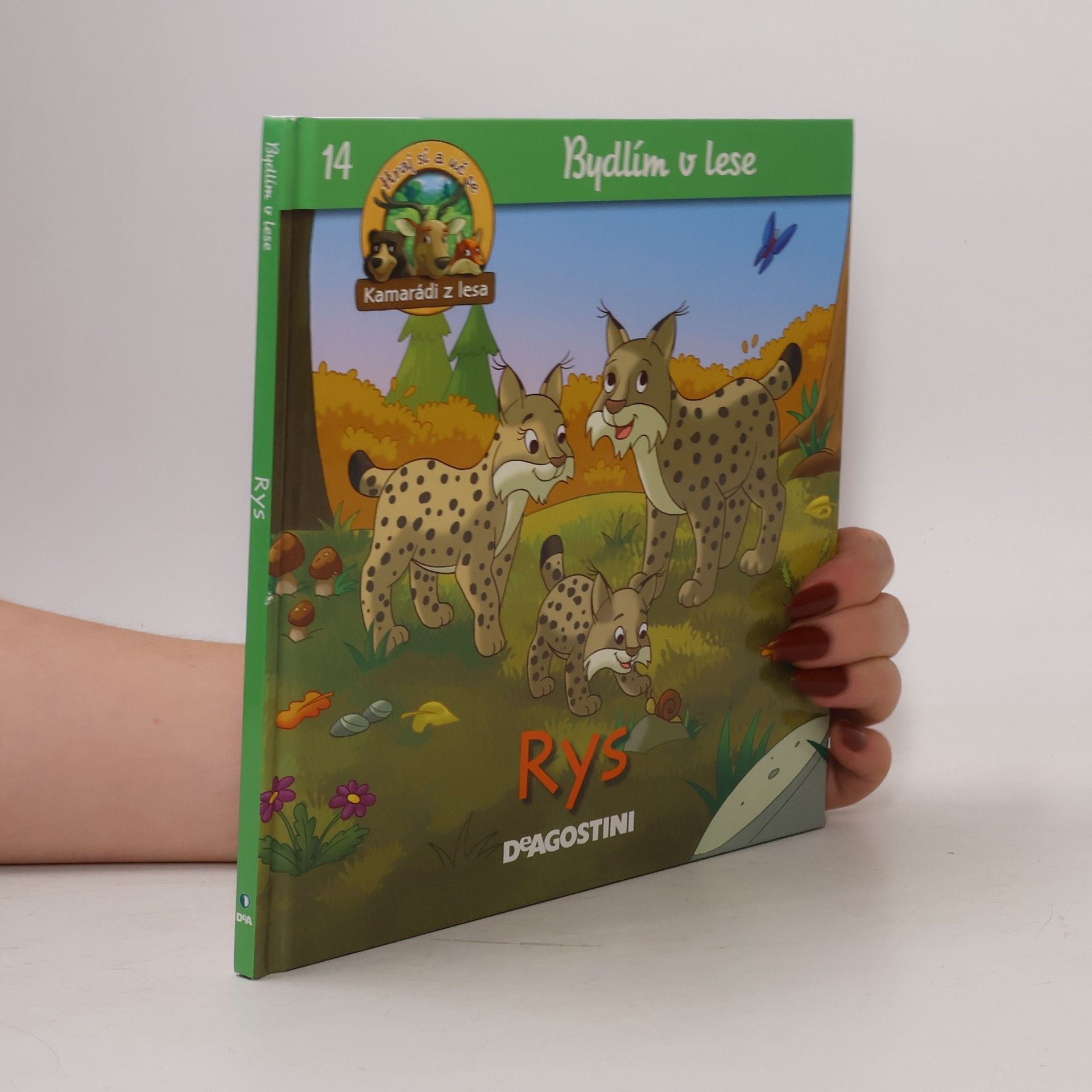 Autorenkollektiv Bydlím v lese 14. Rys