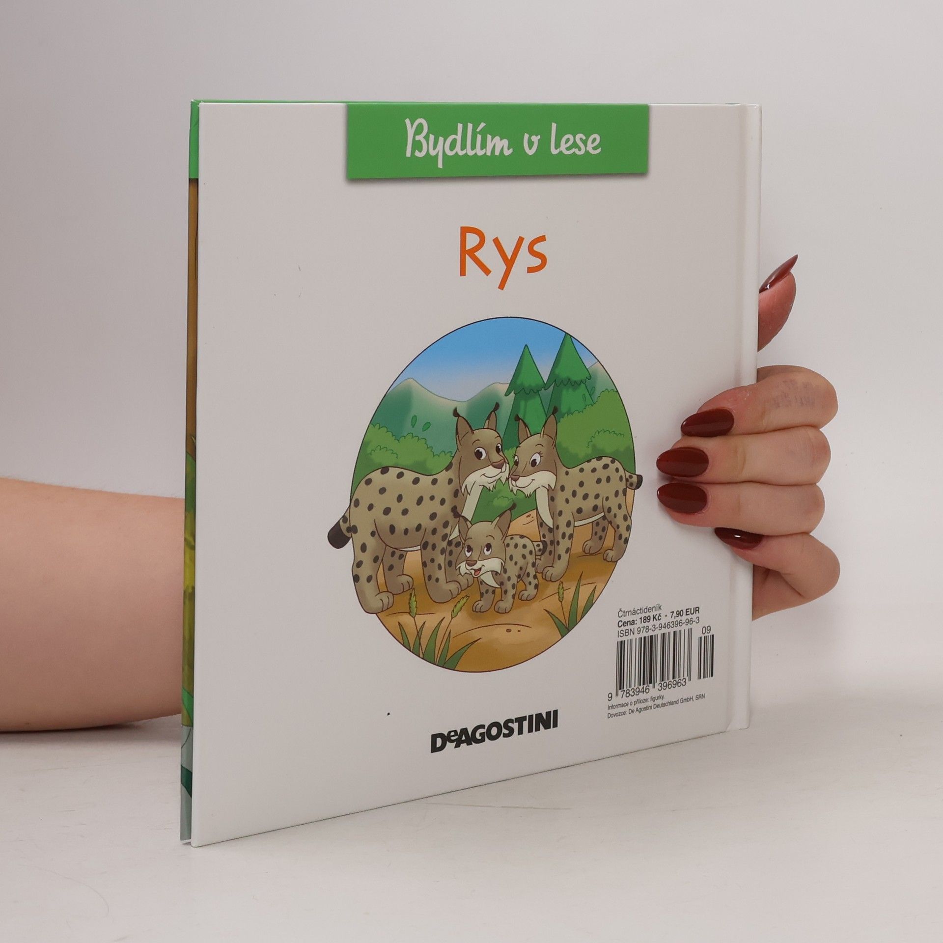 AA.VV. Bydlím v lese 14. Rys