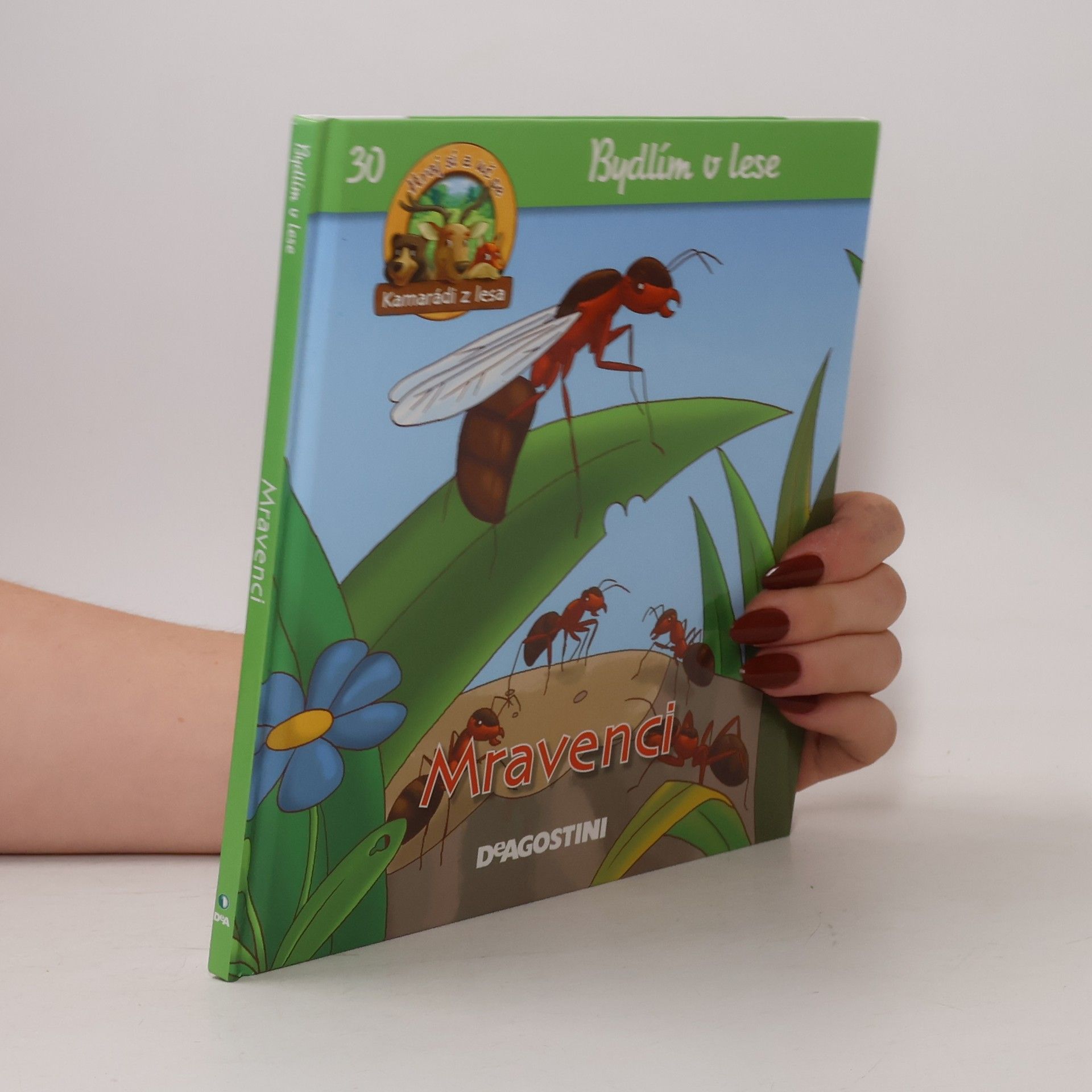 Kolektiv autorů Bydlím v lese 30. Mravenci