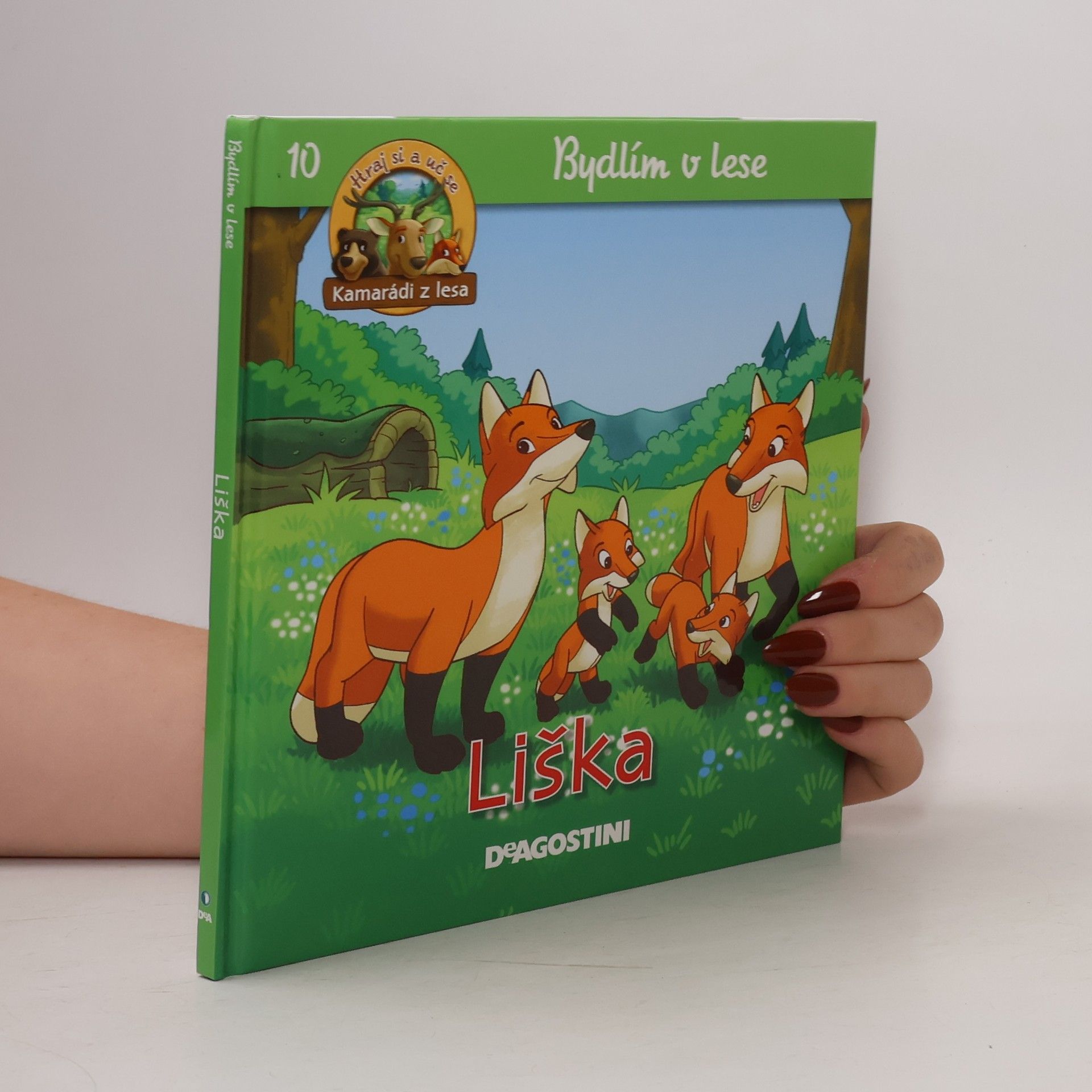 Autorenkollektiv Bydlím v lese 10. Liška
