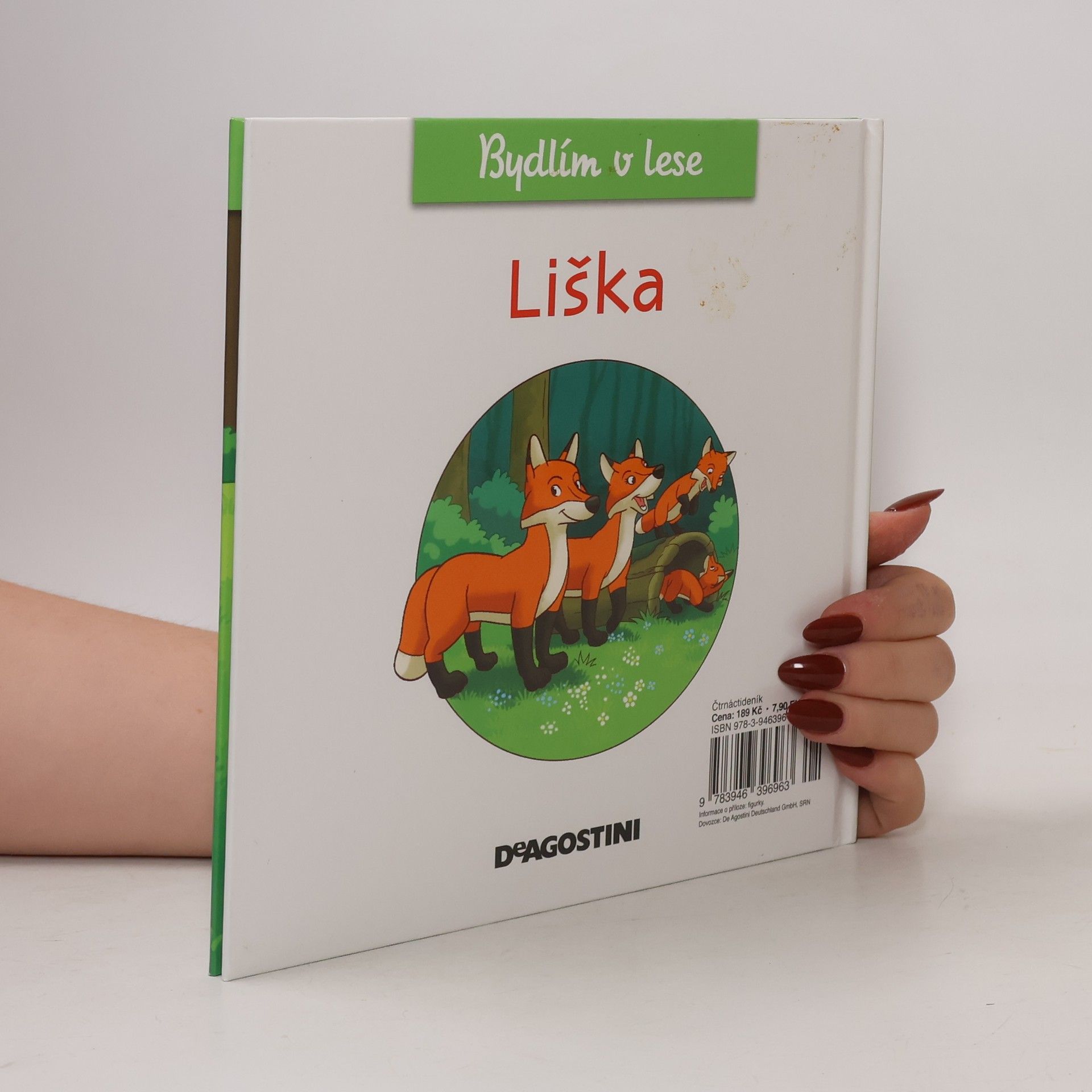 Auteurscollectief Bydlím v lese 10. Liška