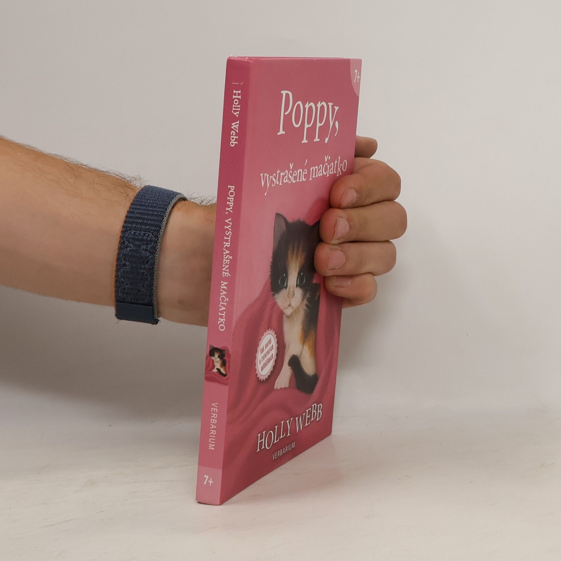 Holly Webb Poppy, vystrašené mačiatko