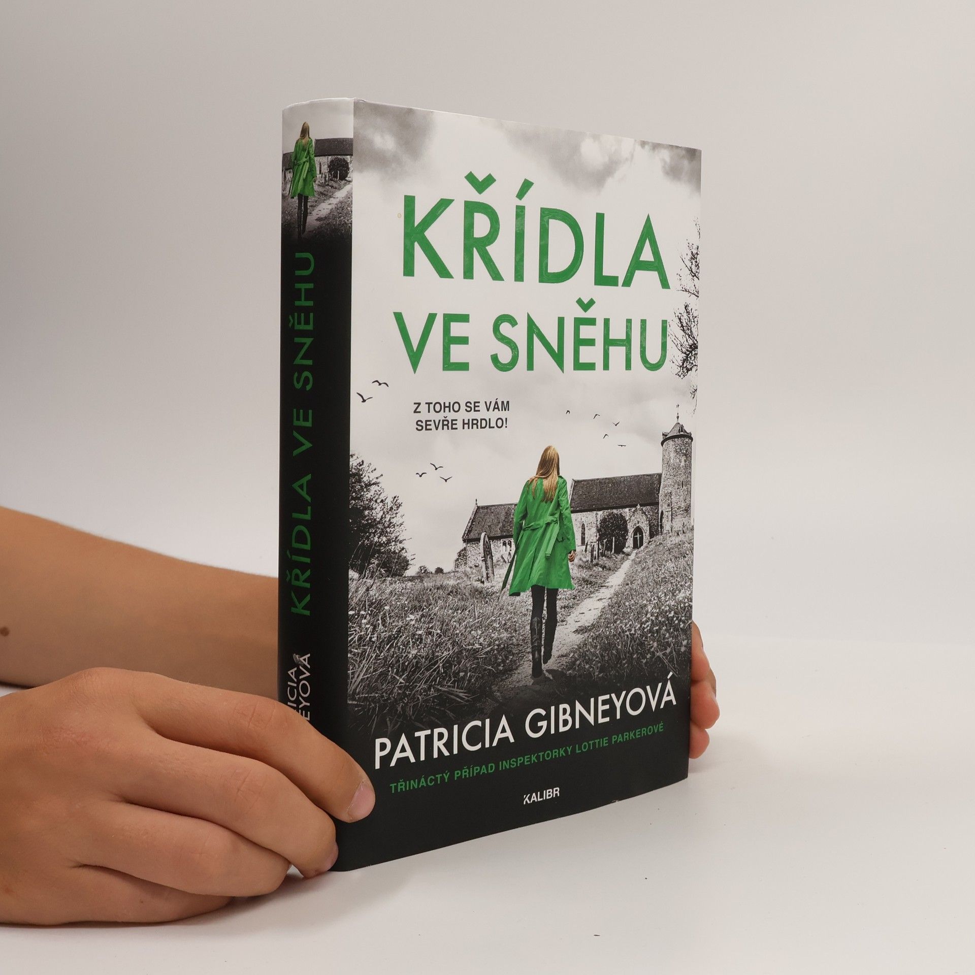 Křídla ve sněhu
