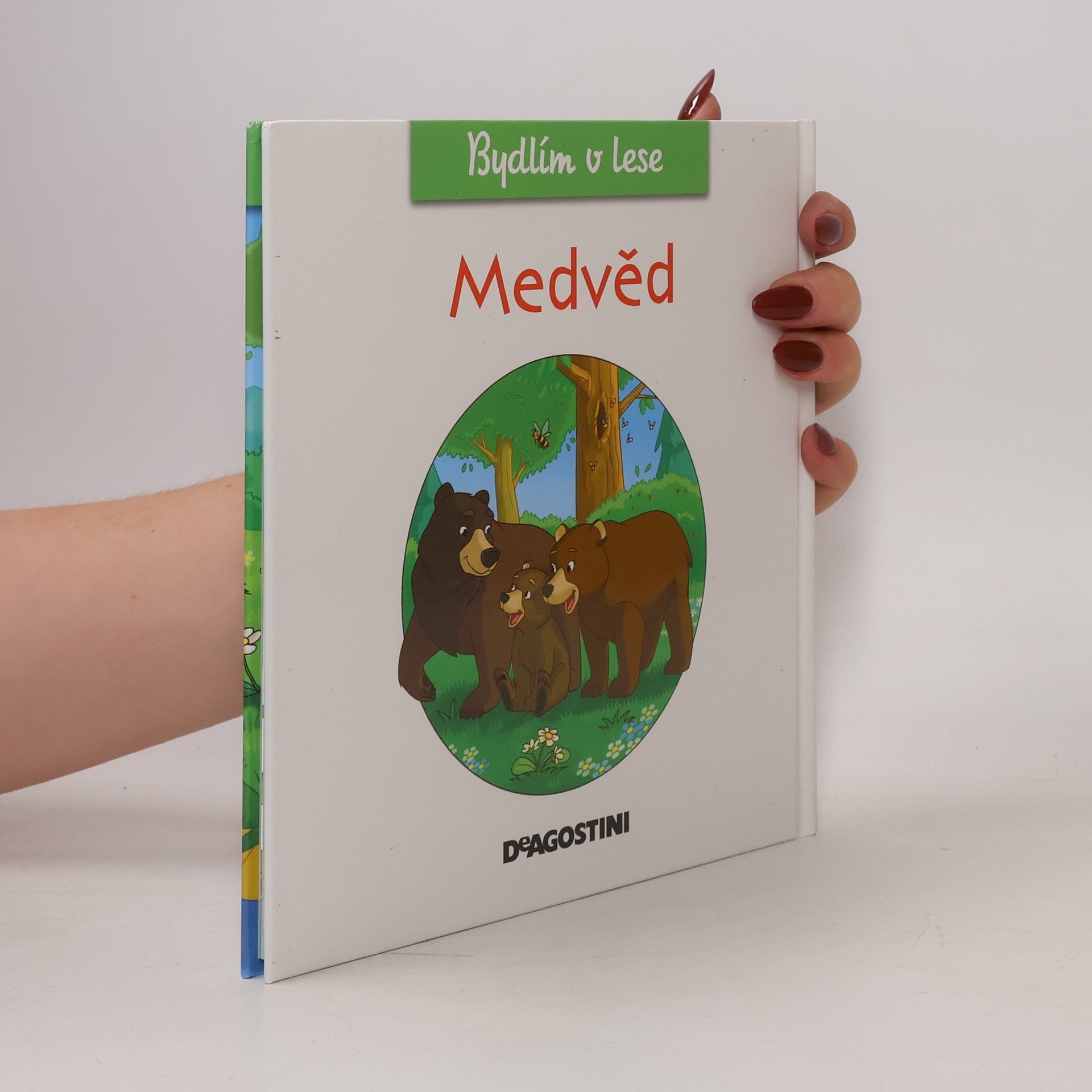 AA.VV. Bydlím v lese 2. Medvěd