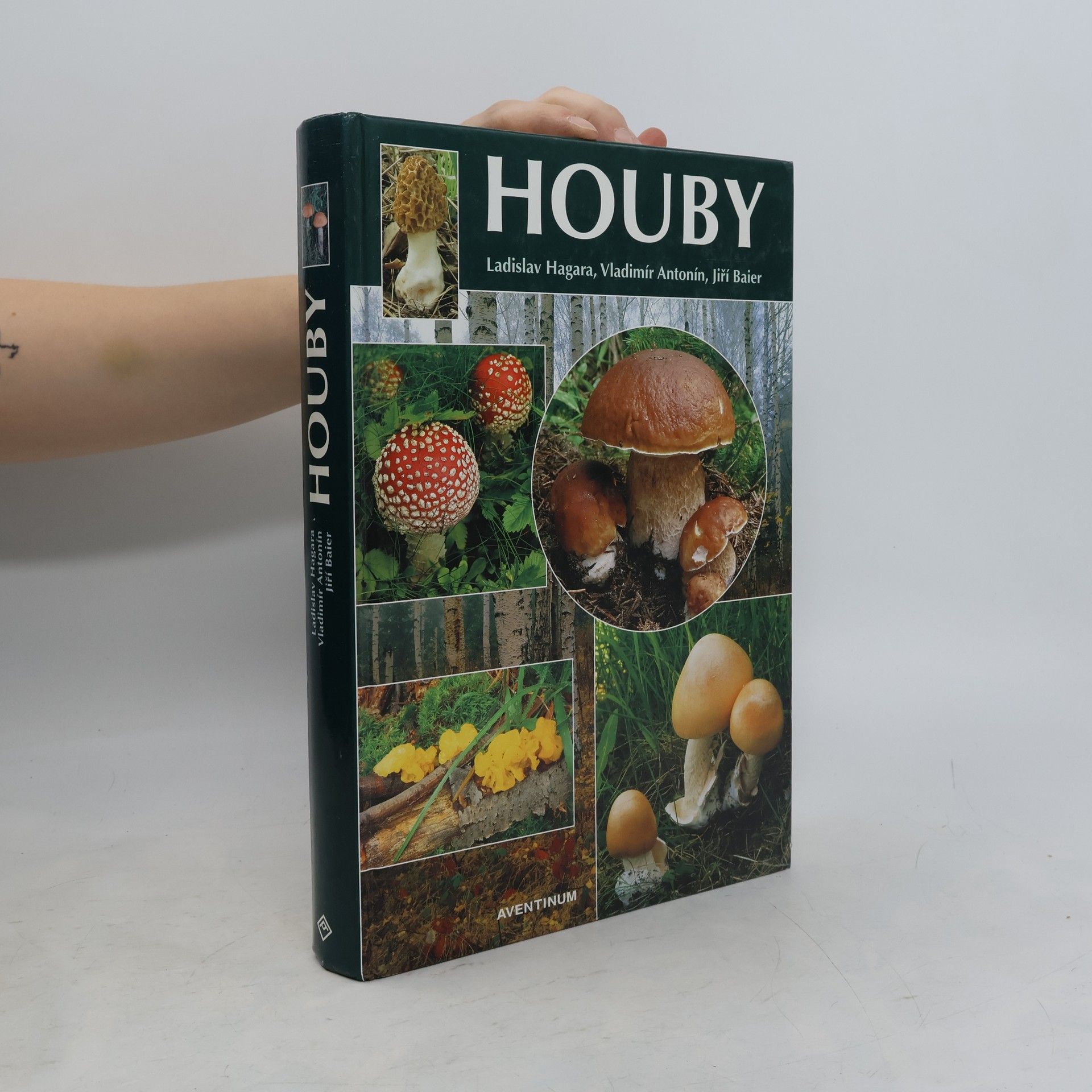 Ladislav Hagara Houby