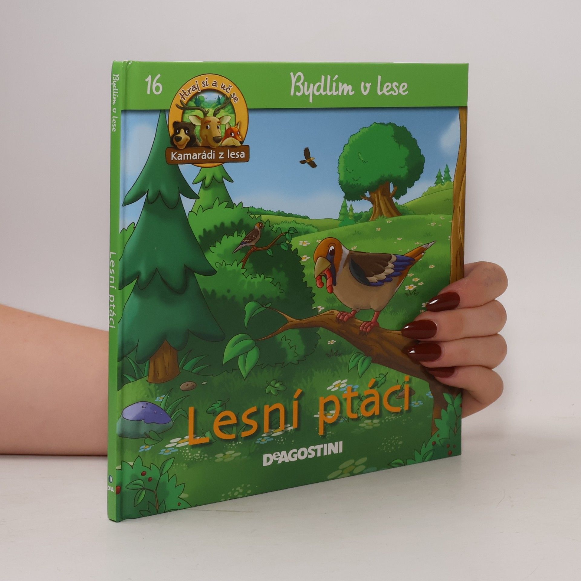 Petra Zavřelová Bydlím v lese 16. Lesní ptáci