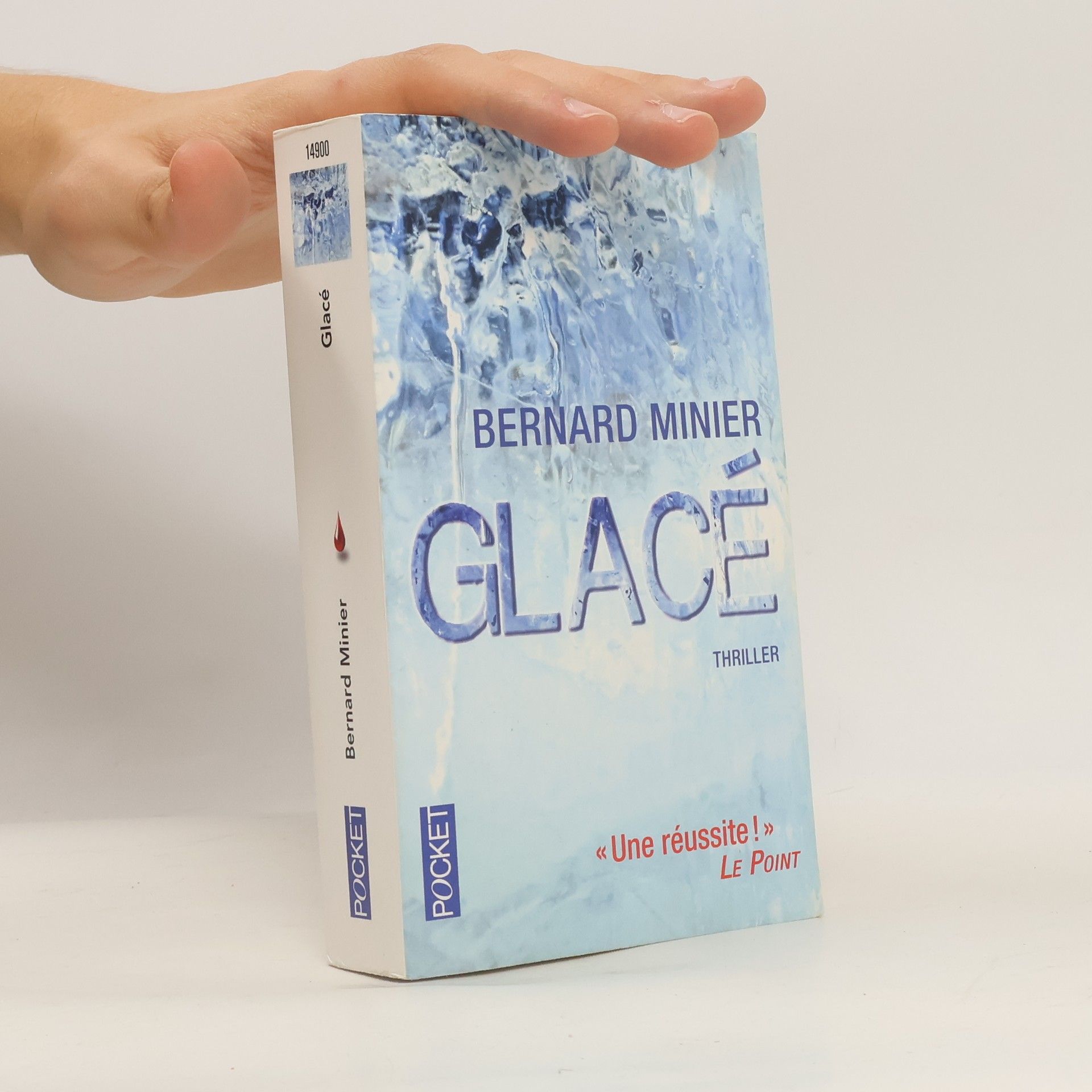 Bernard Minier Glacé