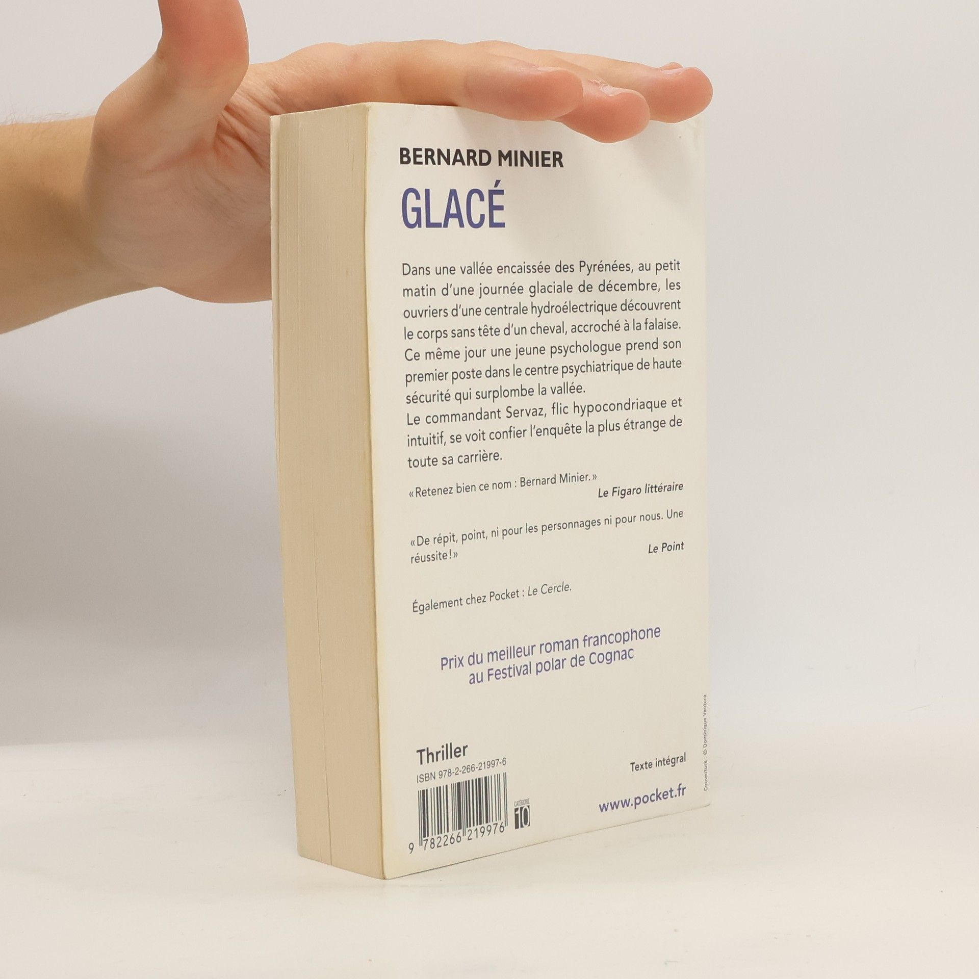 Bernard Minier Glacé