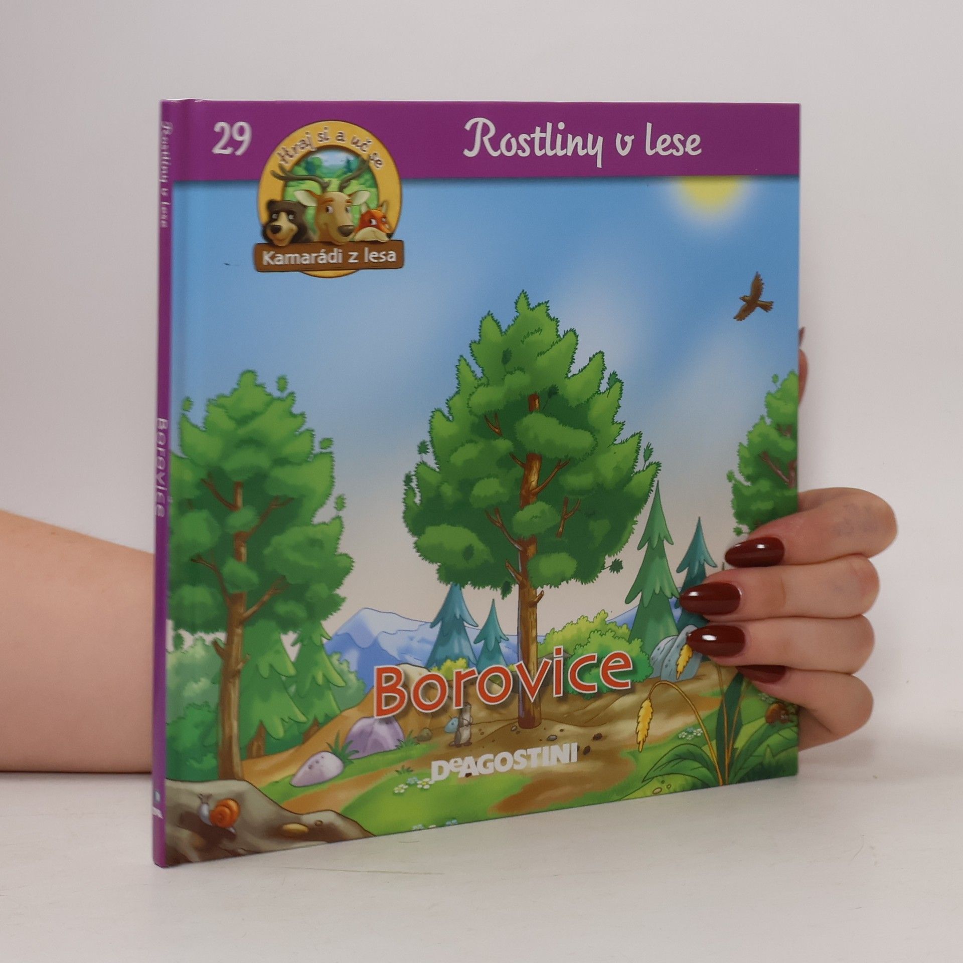 Autorenkollektiv Rostliny v lese 29. Borovice