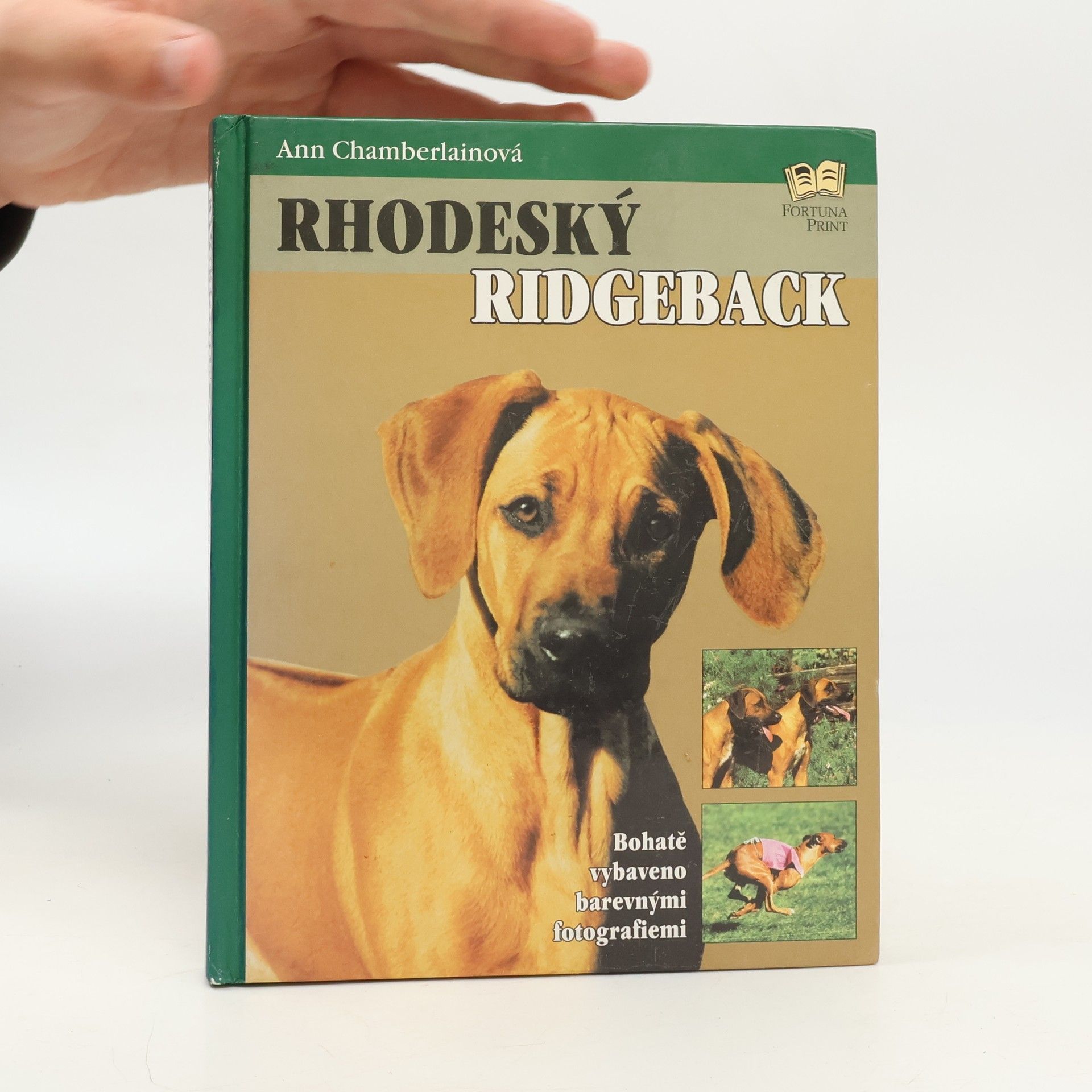 Ann Chamberlain Rhodeský ridgeback