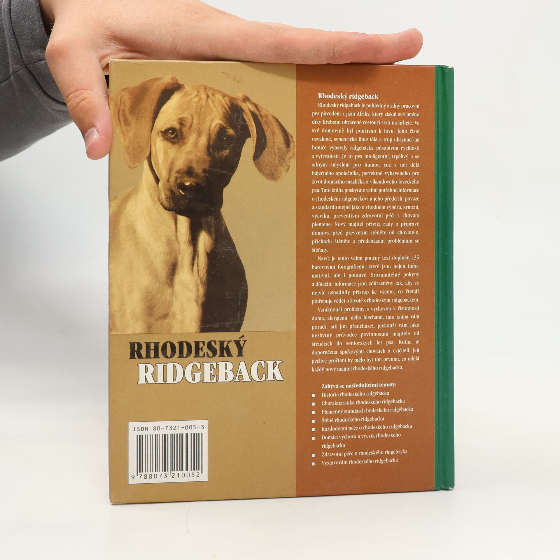 Ann Chamberlain Rhodeský ridgeback