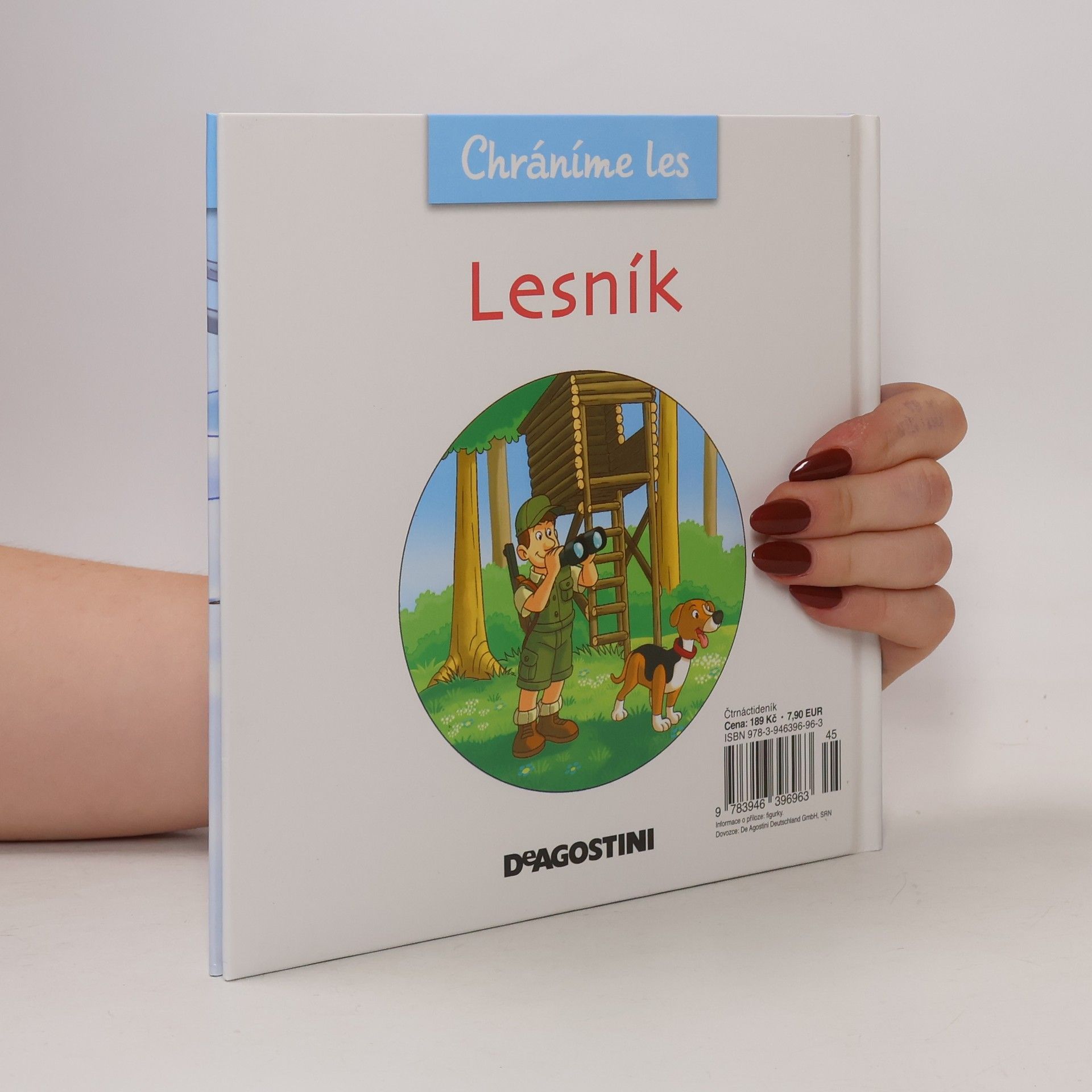 Kolektiv autorů Chráníme les 6. Lesník
