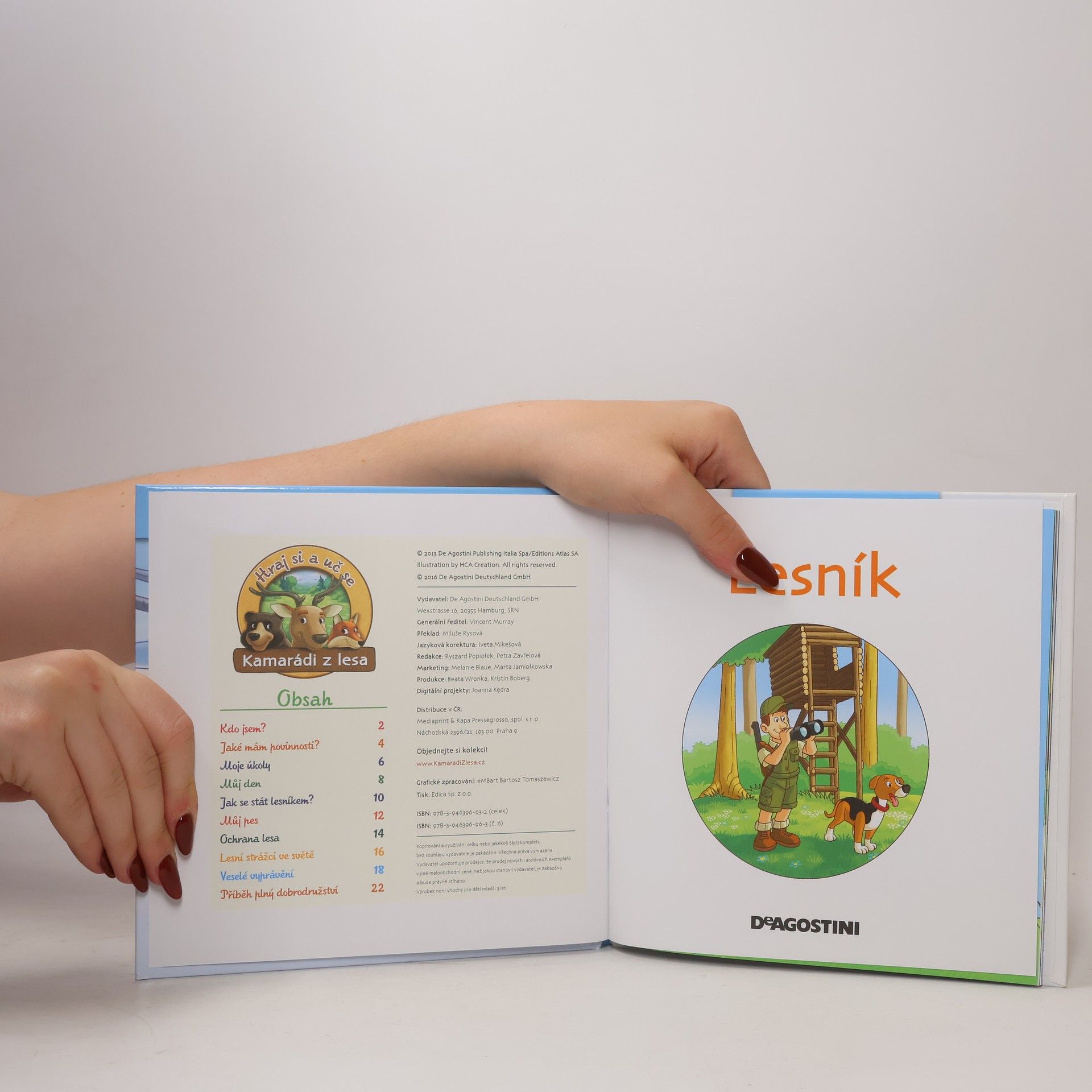 Kolektiv autorů Chráníme les 6. Lesník