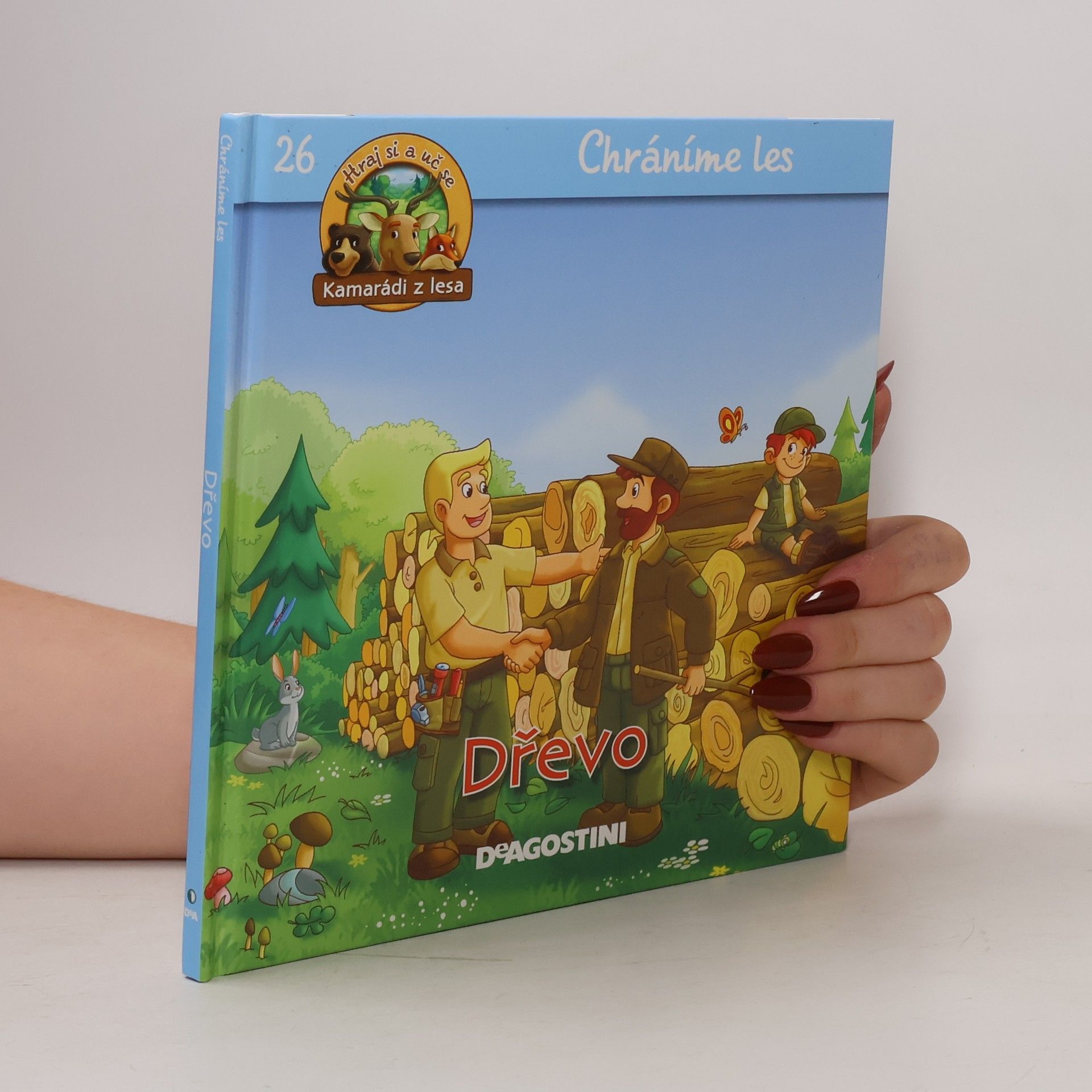 Kolektiv autorů Chráníme les 26. Dřevo