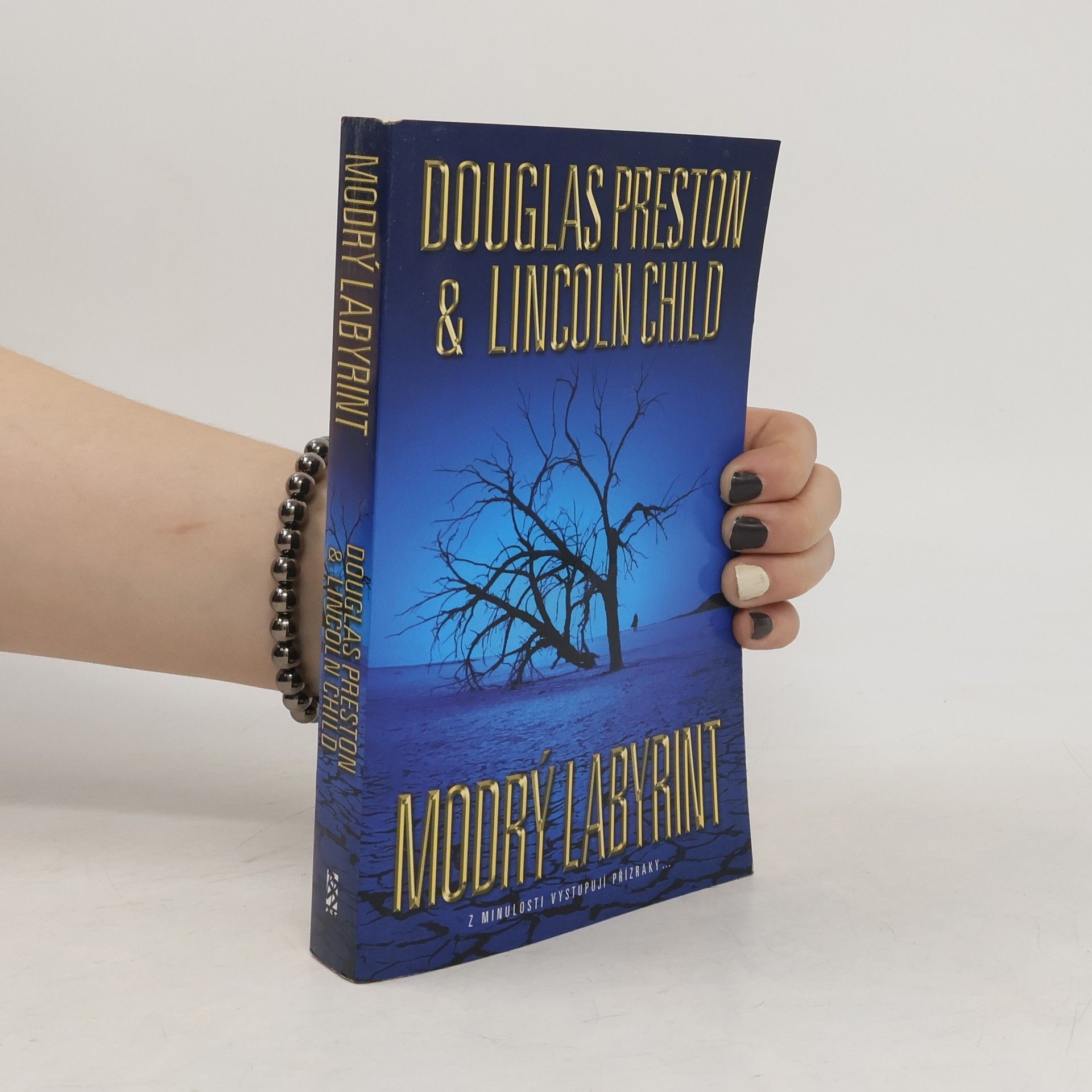 Douglas Preston Modrý labyrint