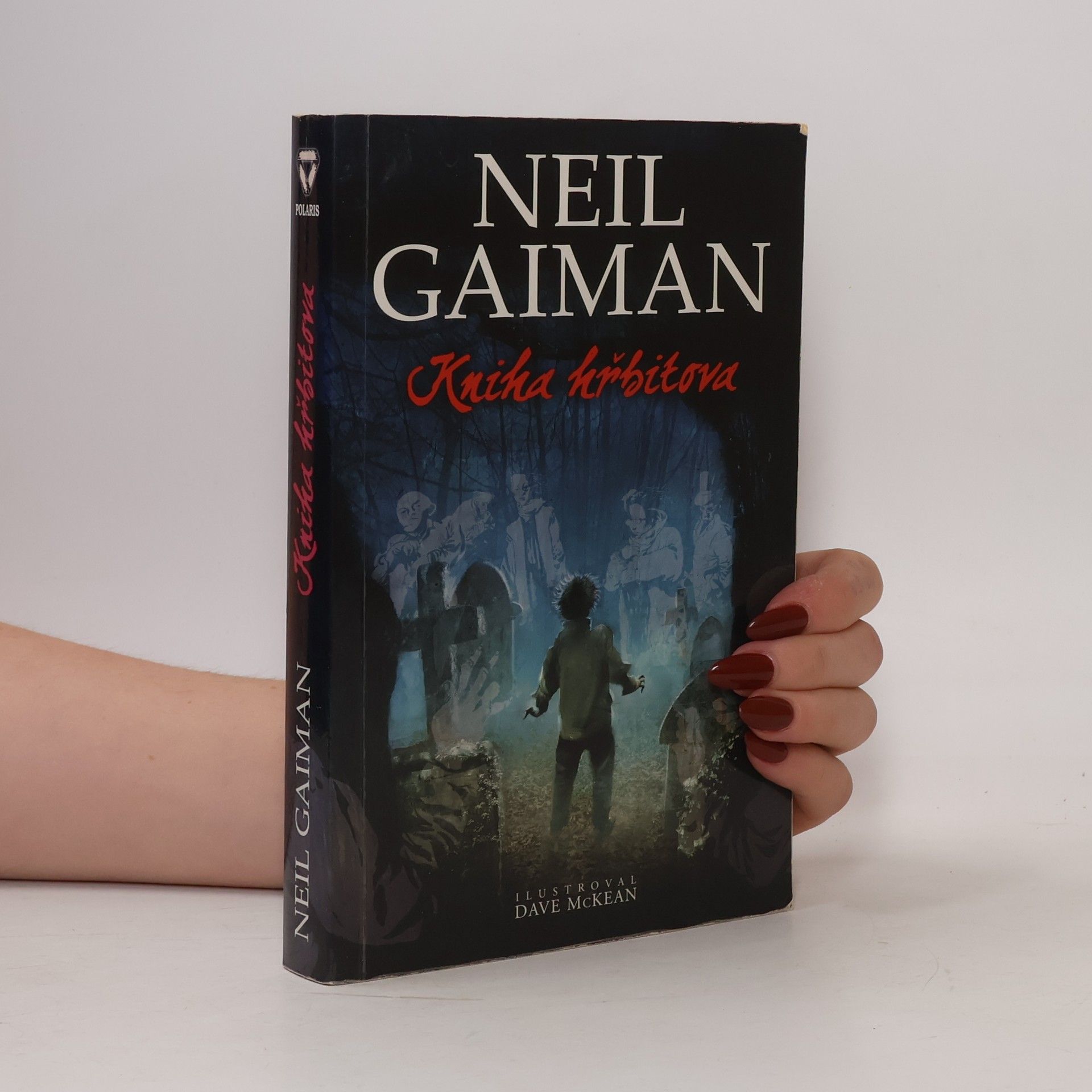 Neil Gaiman Kniha hřbitova