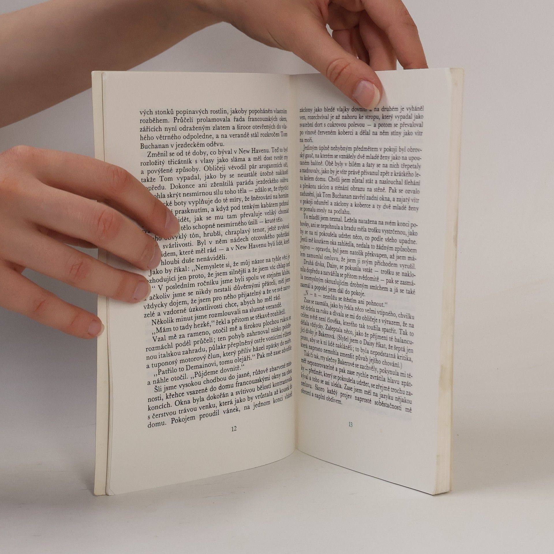 Francis Scott Fitzgerald Velký Gatsby