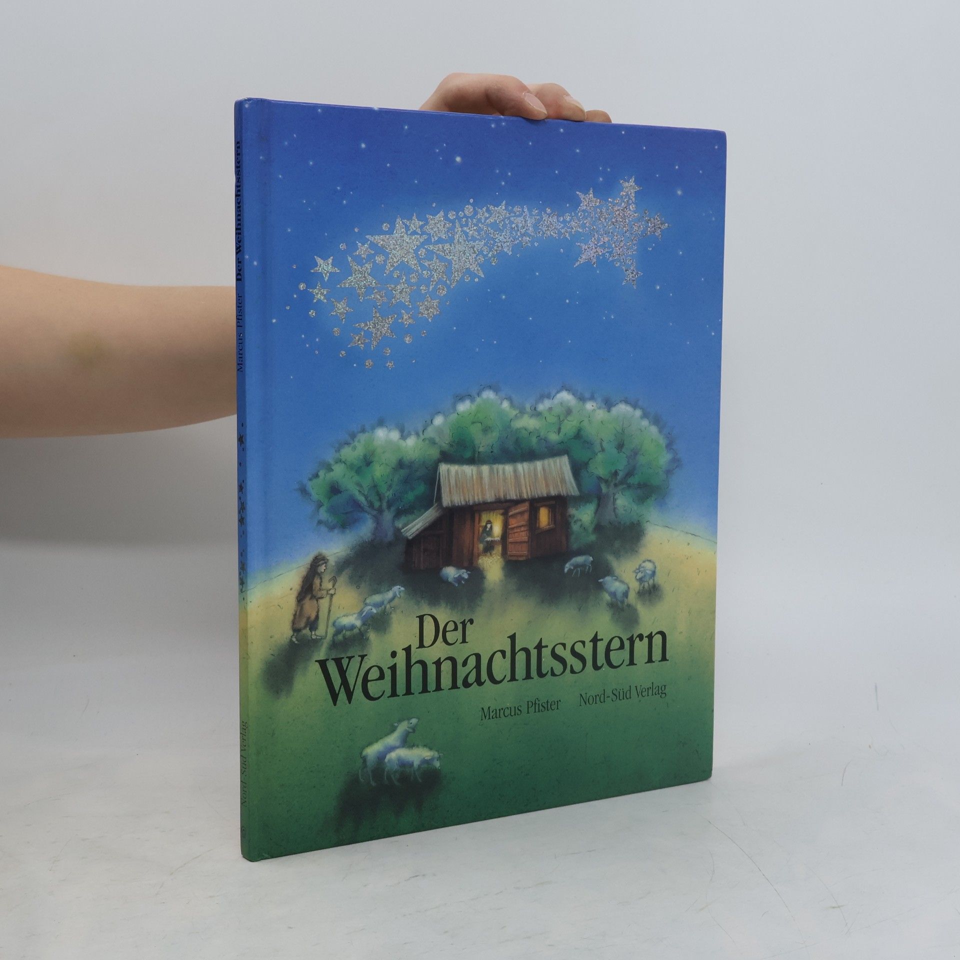 Marcus Pfister Der Weihnachtsstern