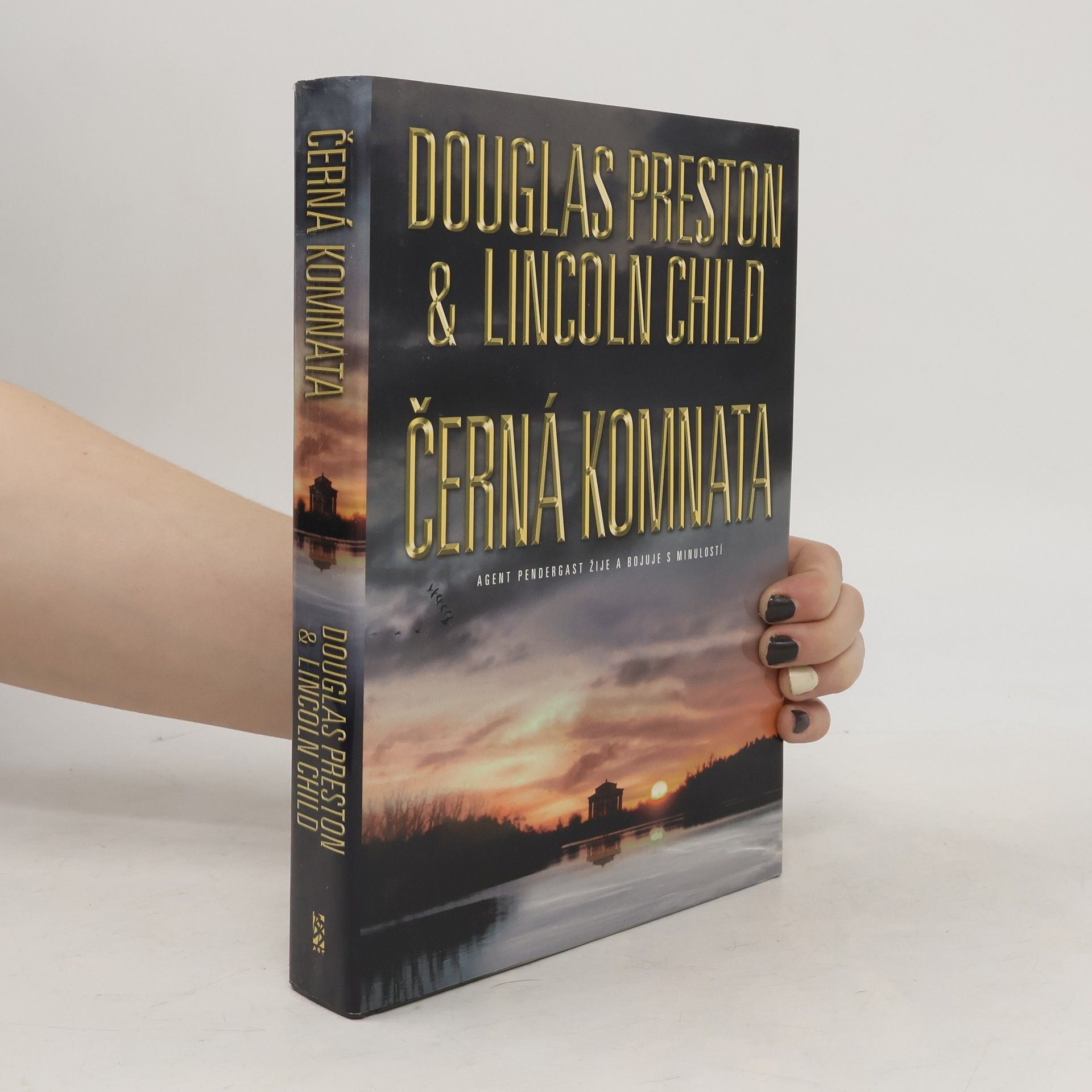 Douglas Preston Černá komnata