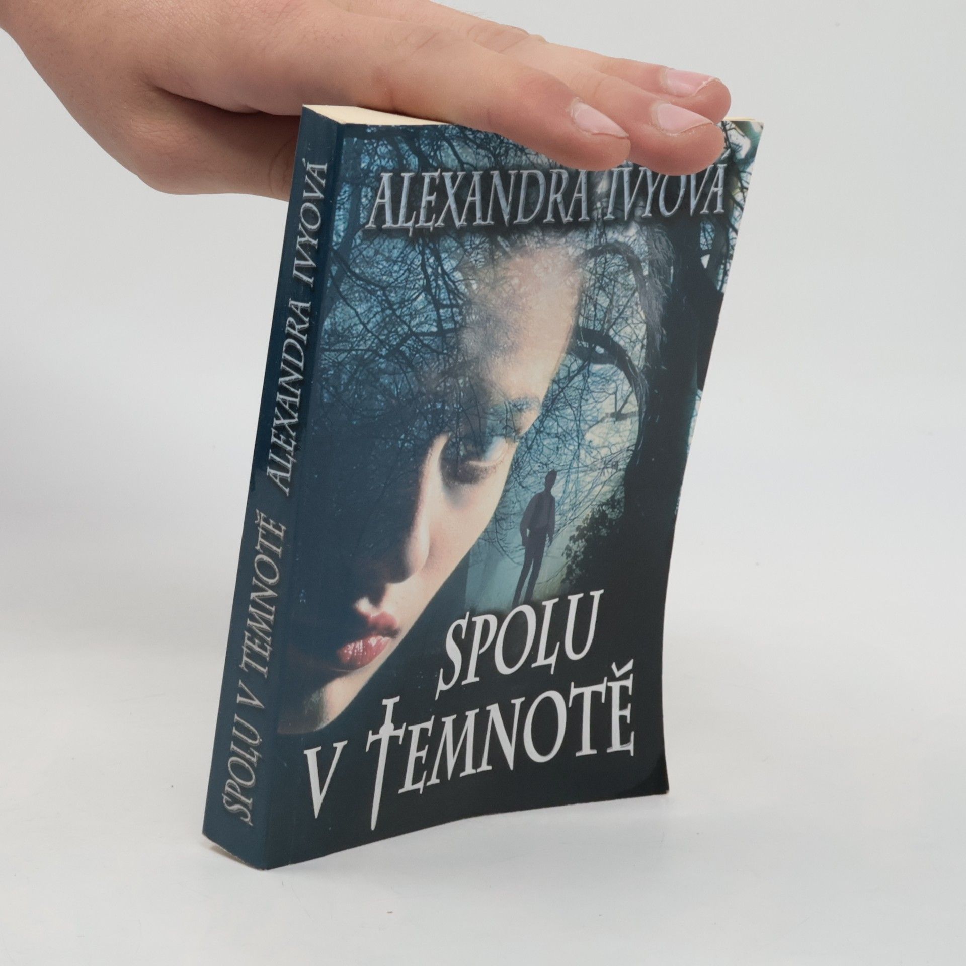 Debbie Raleigh Spolu v temnotě